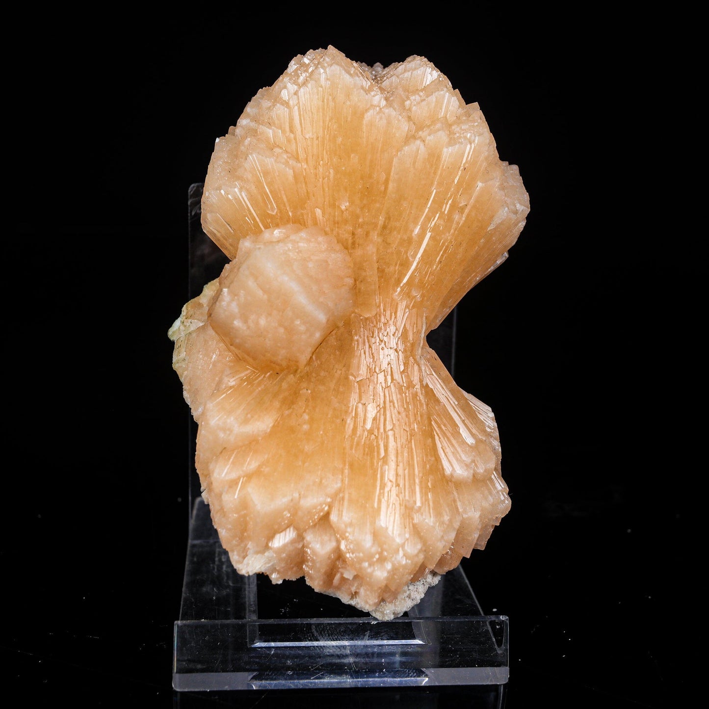 Stilbite Bow Natural Mineral Specimen