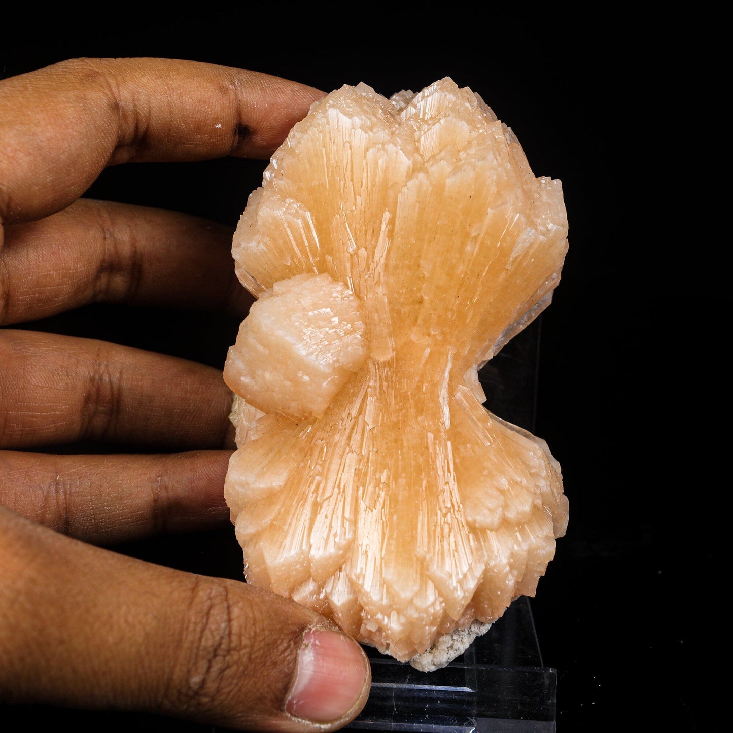 Stilbite Bow Natural Mineral Specimen