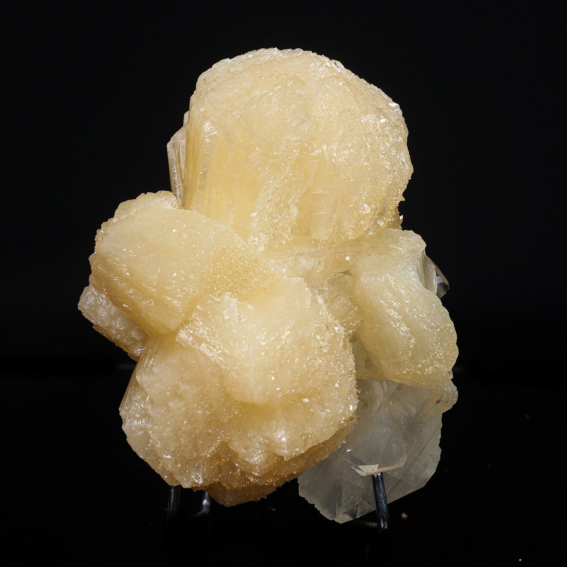 Stilbite bow with Apophyllite Natural Mineral Specimen #TC24-26 Stilbite Superb Minerals 