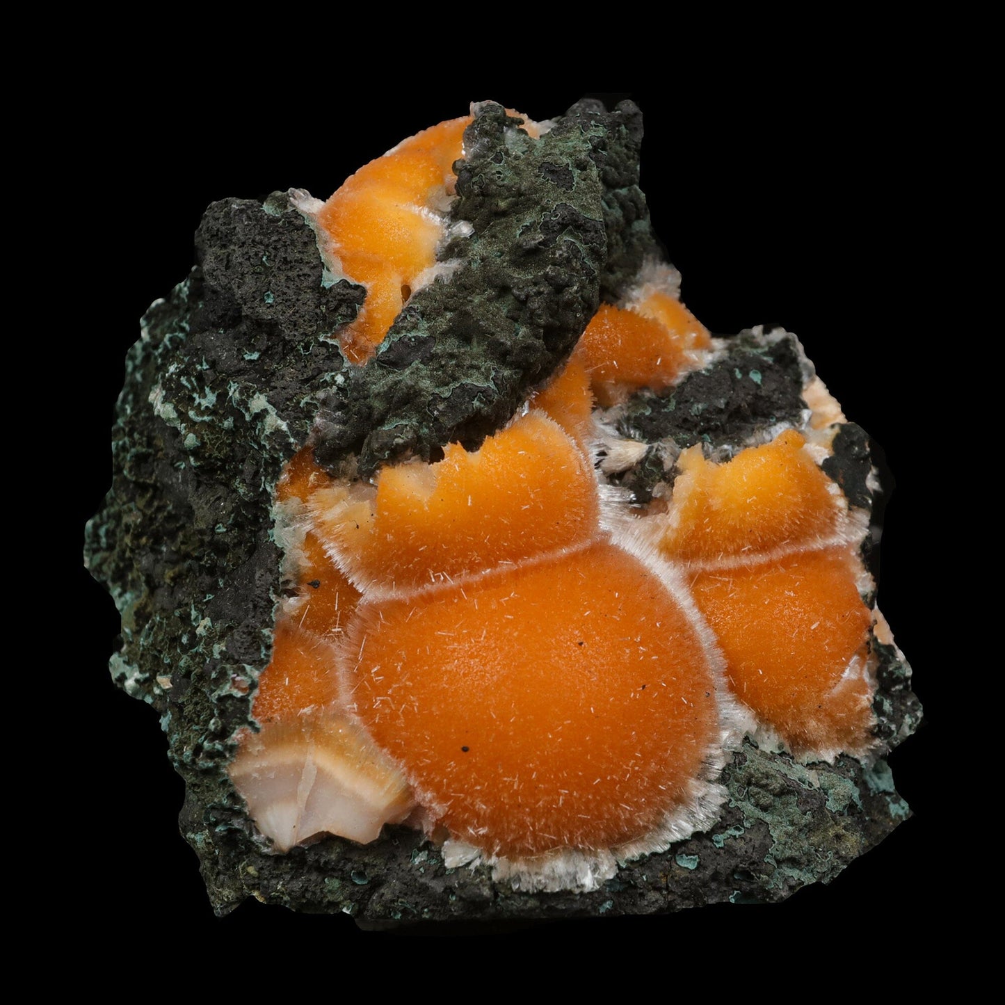 Thomsonite Orange Rare Find Natural Mineral Specimen # B 7056 Thomsonite Superb Minerals