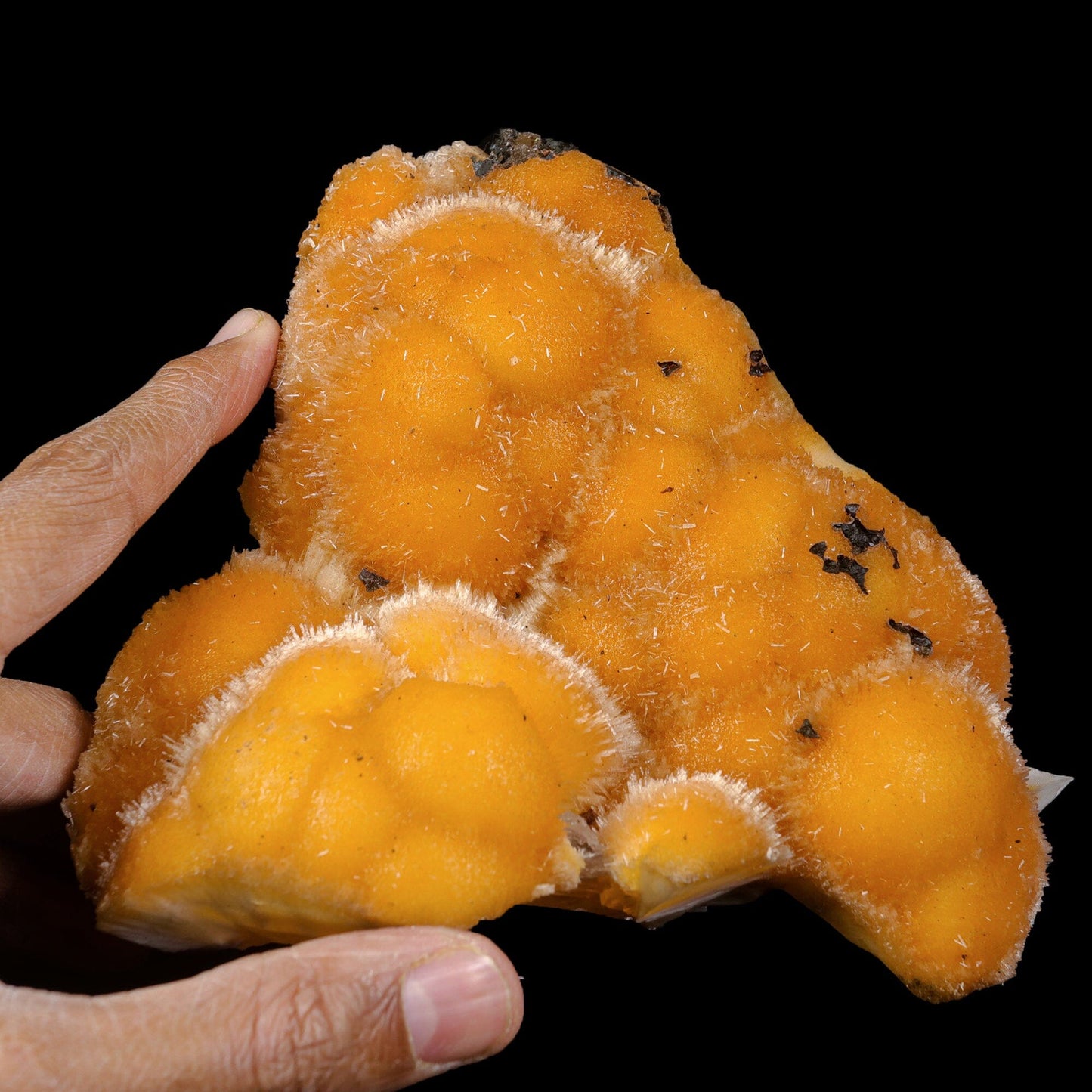 Thomsonite Orange Rare Find Natural Mineral Specimen # B 7067 Thomsonite Superb Minerals