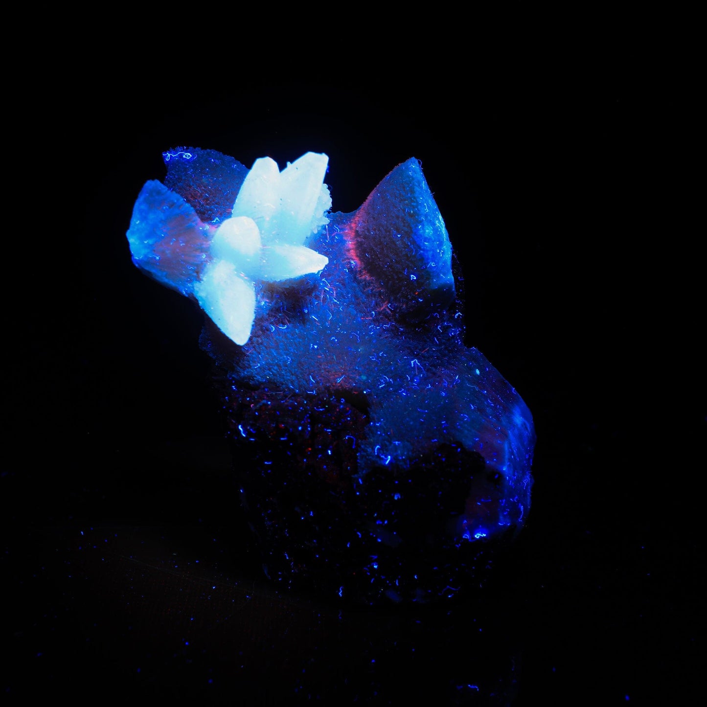 Thomsonite Orange Rare Find with Calcite Natural Mineral Specimen # B 6998 Thomsonite Superb Minerals