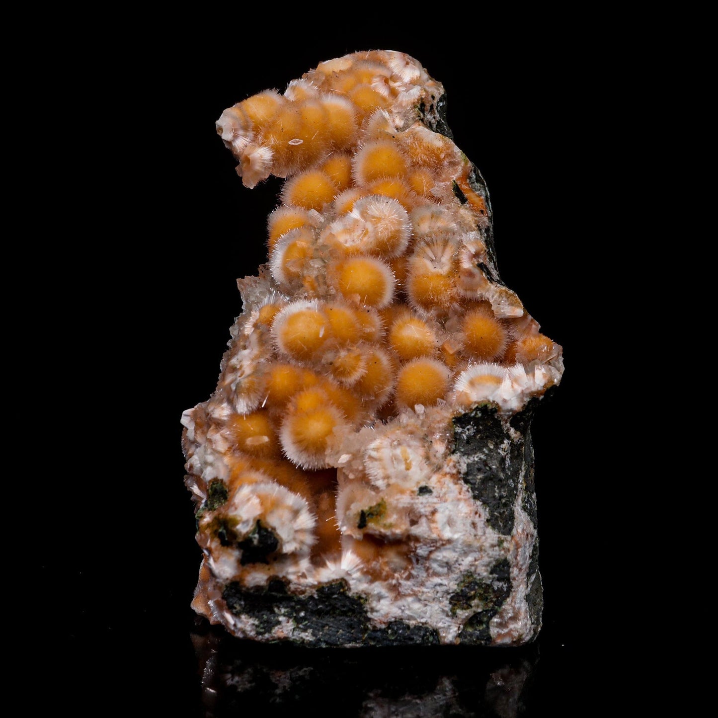 Thomsonite With Mesolite Natural Mineral Specimen # B 6908 Thomsonite Superb Minerals