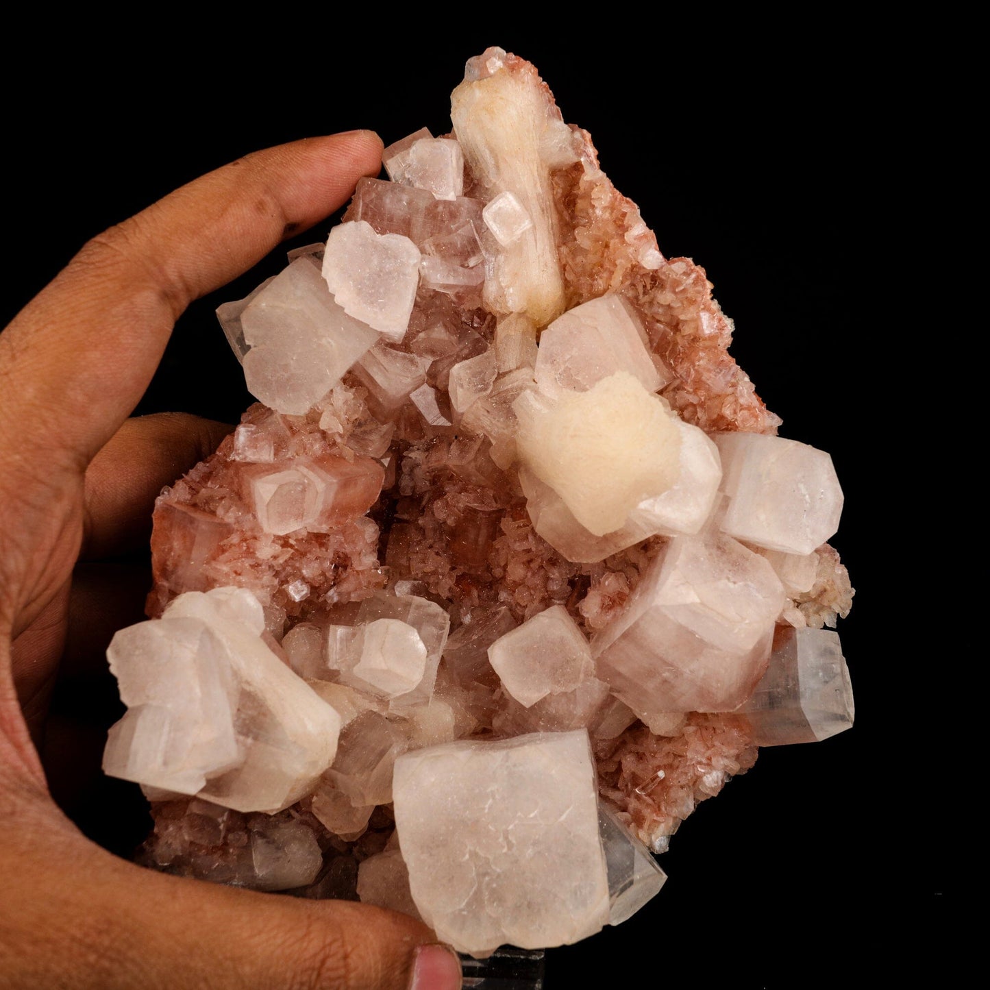 Apophyllite Cube with pink Stilbite Natural Mineral Specimen # B 6572 Apophyllite Superb Minerals