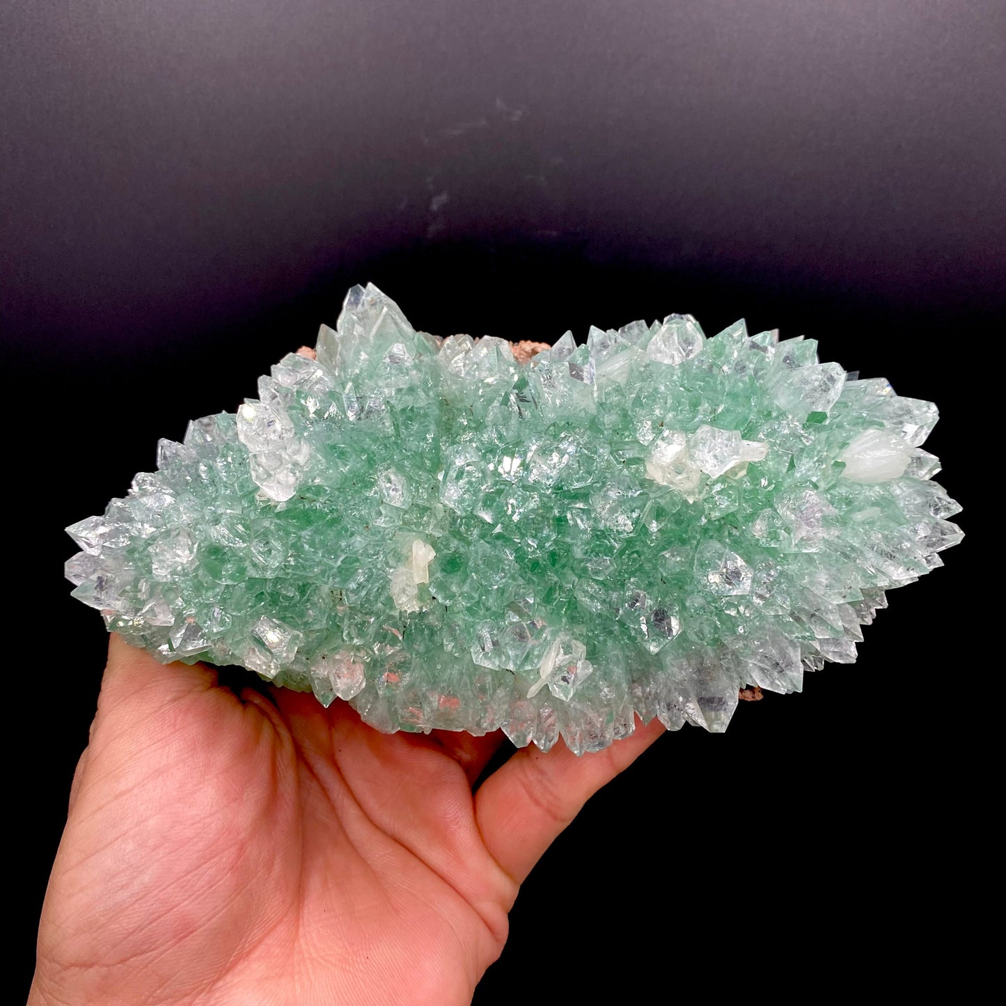 Apophyllite DK119 Superb Minerals