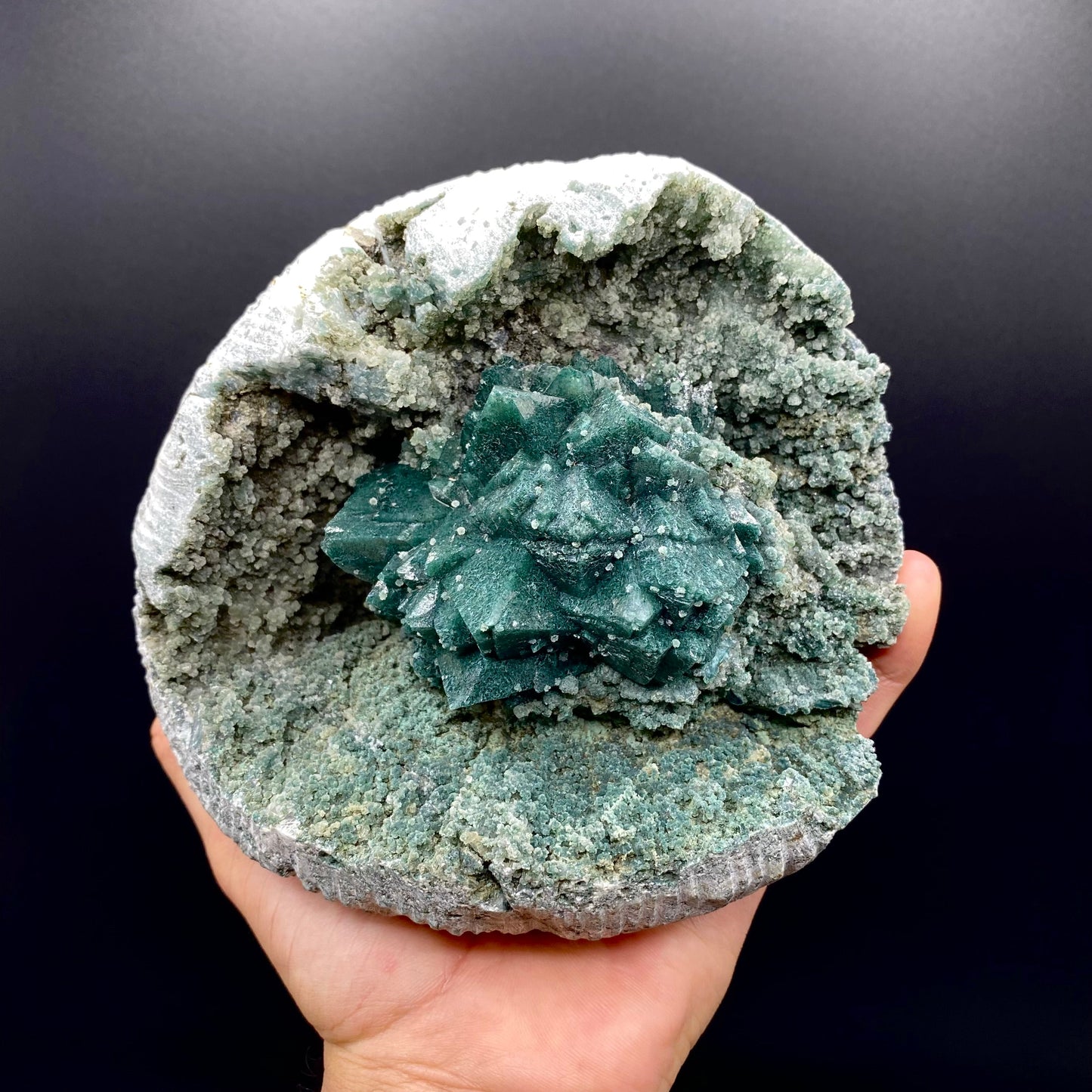 Apophyllite DK131 Superb Minerals