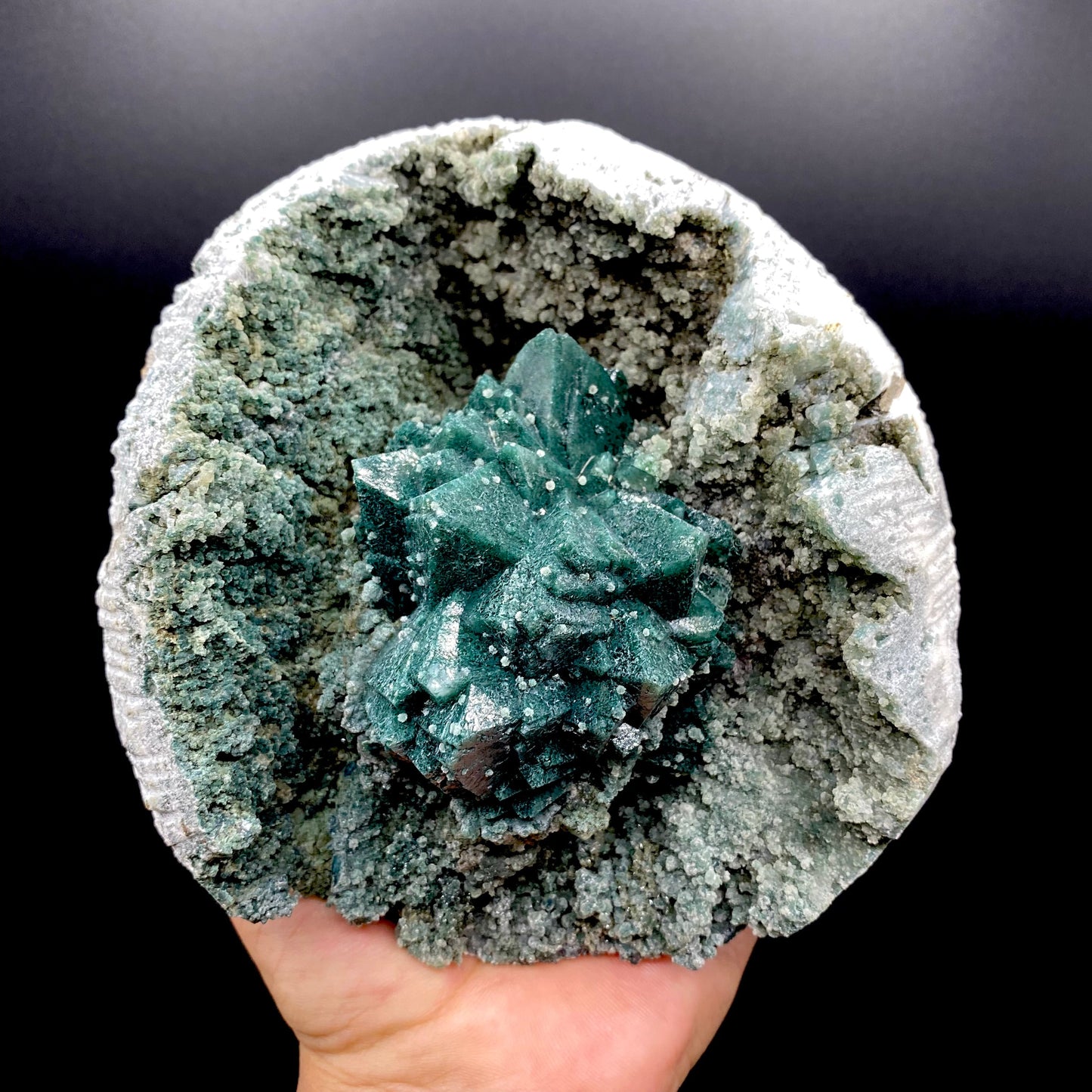 Apophyllite DK131 Superb Minerals
