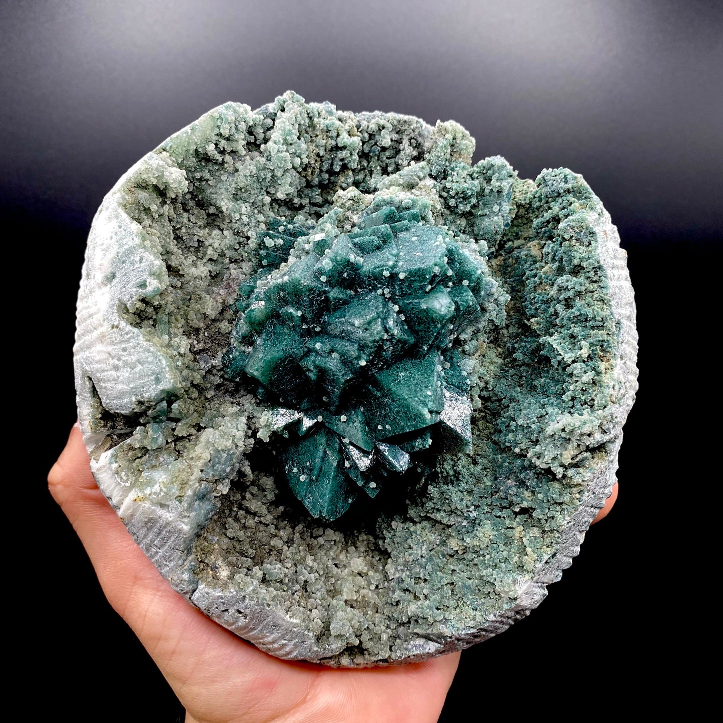 Apophyllite DK131 Superb Minerals