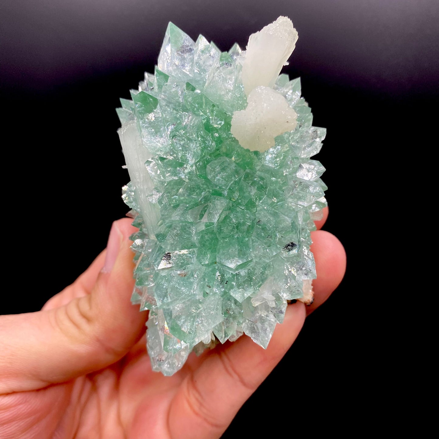 Apophyllite DK134 Superb Minerals
