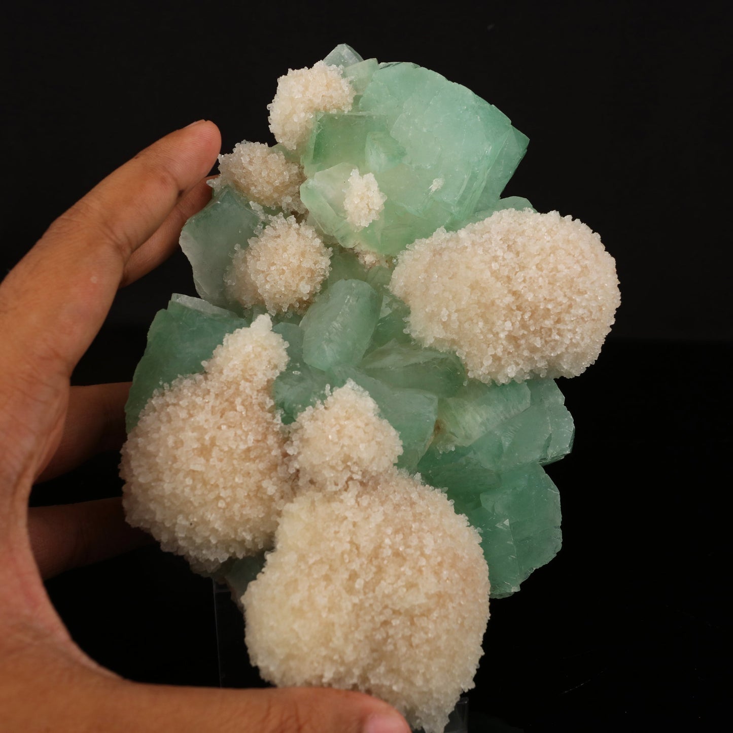 Apophyllite Green with Mordenite Natural Mineral Specimen # B 5964 Apophyllite Superb Minerals