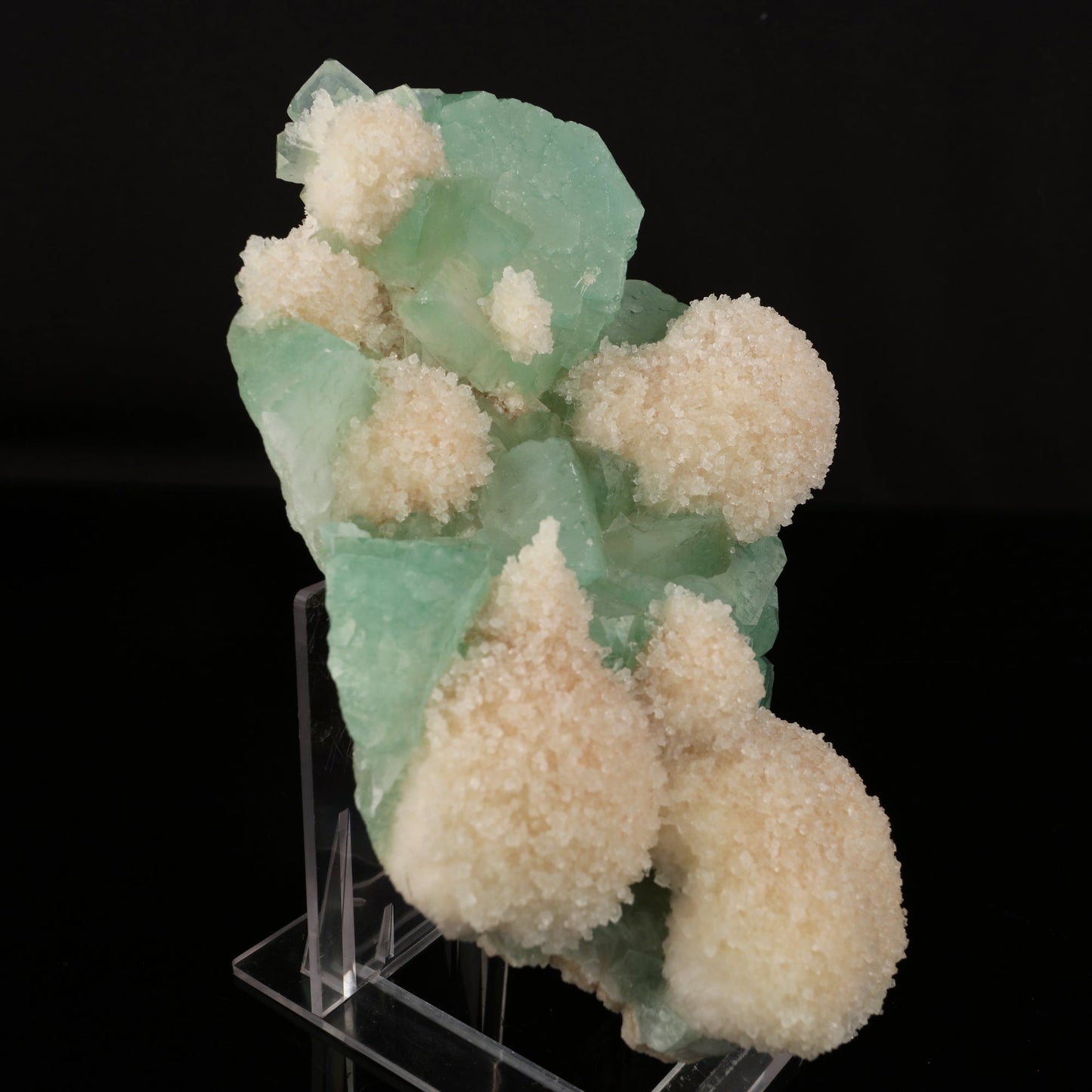 Apophyllite Green with Mordenite Natural Mineral Specimen # B 5964 Apophyllite Superb Minerals