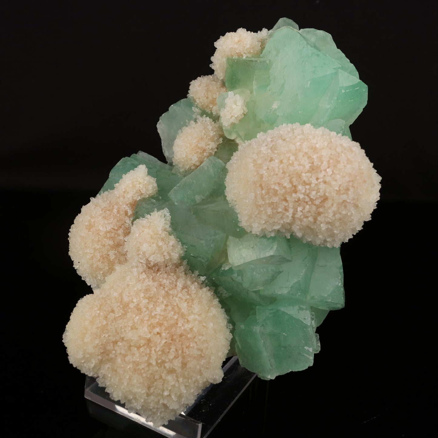 Apophyllite Green with Mordenite Natural Mineral Specimen # B 5964 Apophyllite Superb Minerals