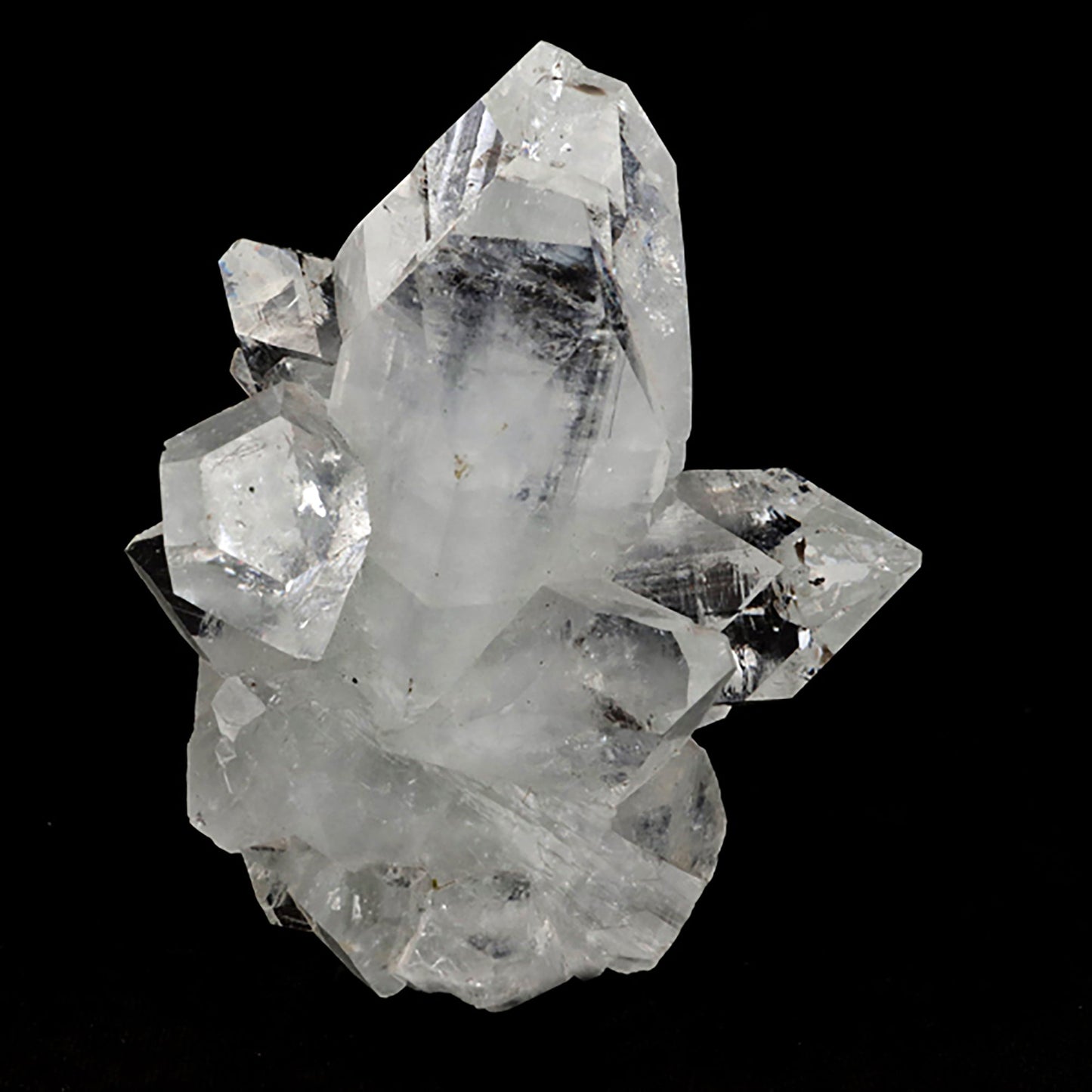 Apophyllite Natural Mineral Specimen# B 5447 Apophyllite Superb Minerals