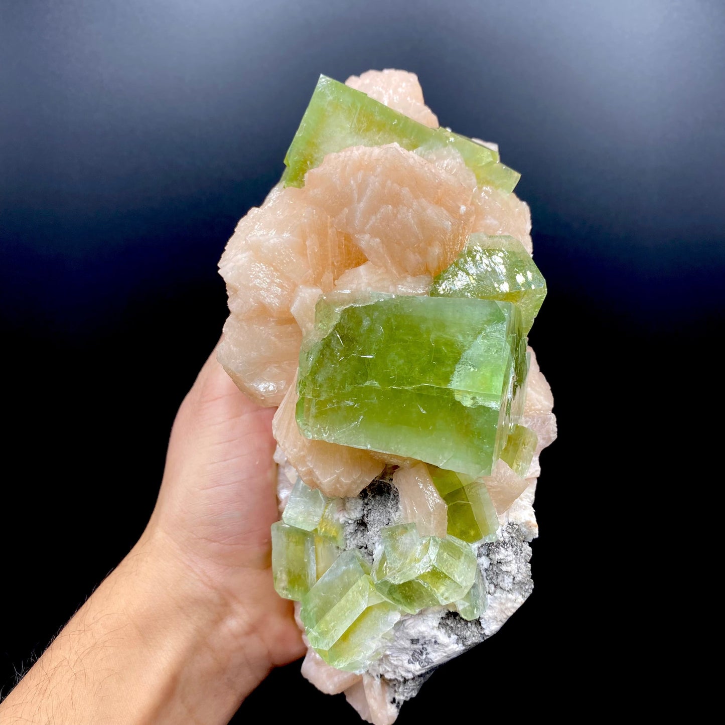 Apophyllite & Stilbite DK105 Superb Minerals