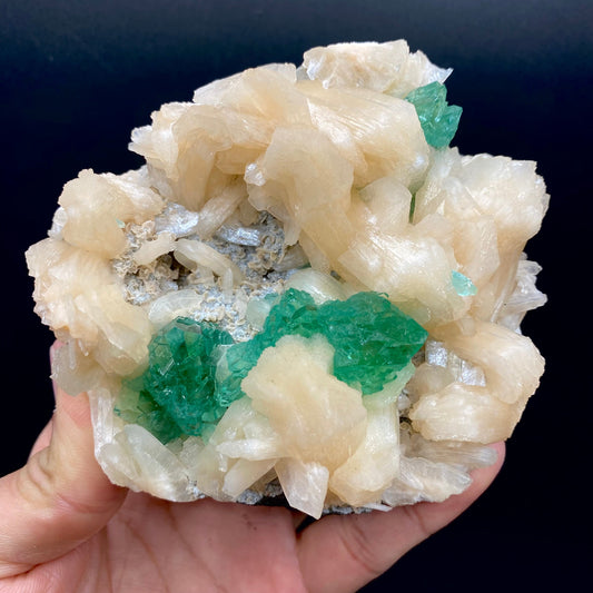 Apophyllite & Stilbite DK147 Superb Minerals