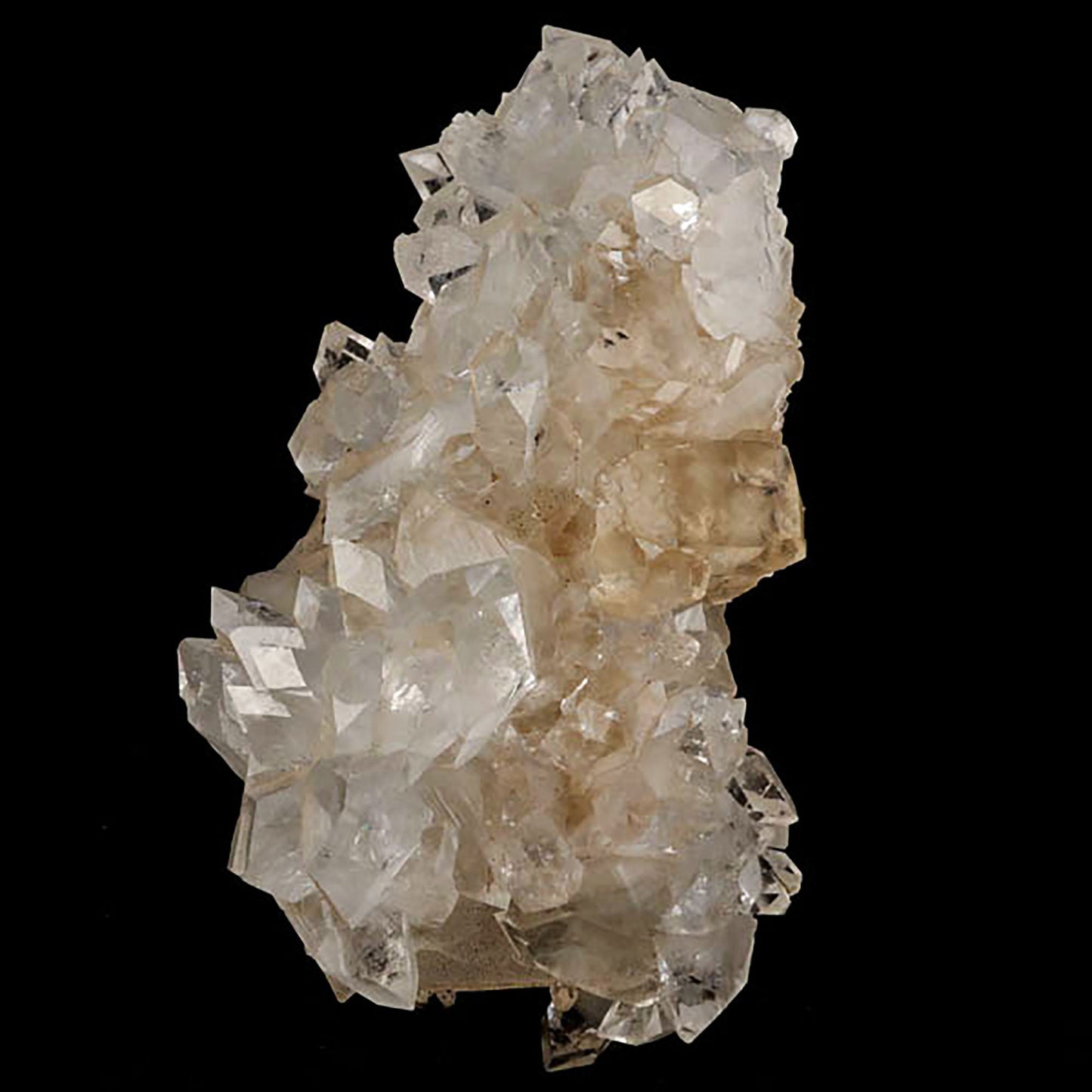 Apophyllite with Calcite Natural Mineral Specimen# B 5431 Apophylite Superb Minerals