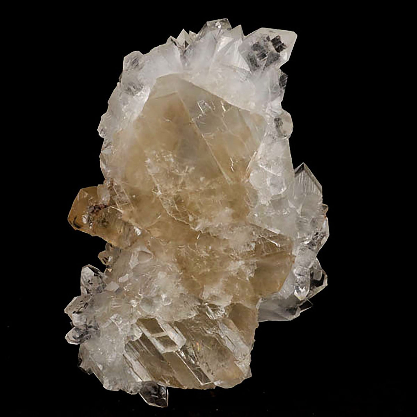 Apophyllite with Calcite Natural Mineral Specimen# B 5431 Apophylite Superb Minerals