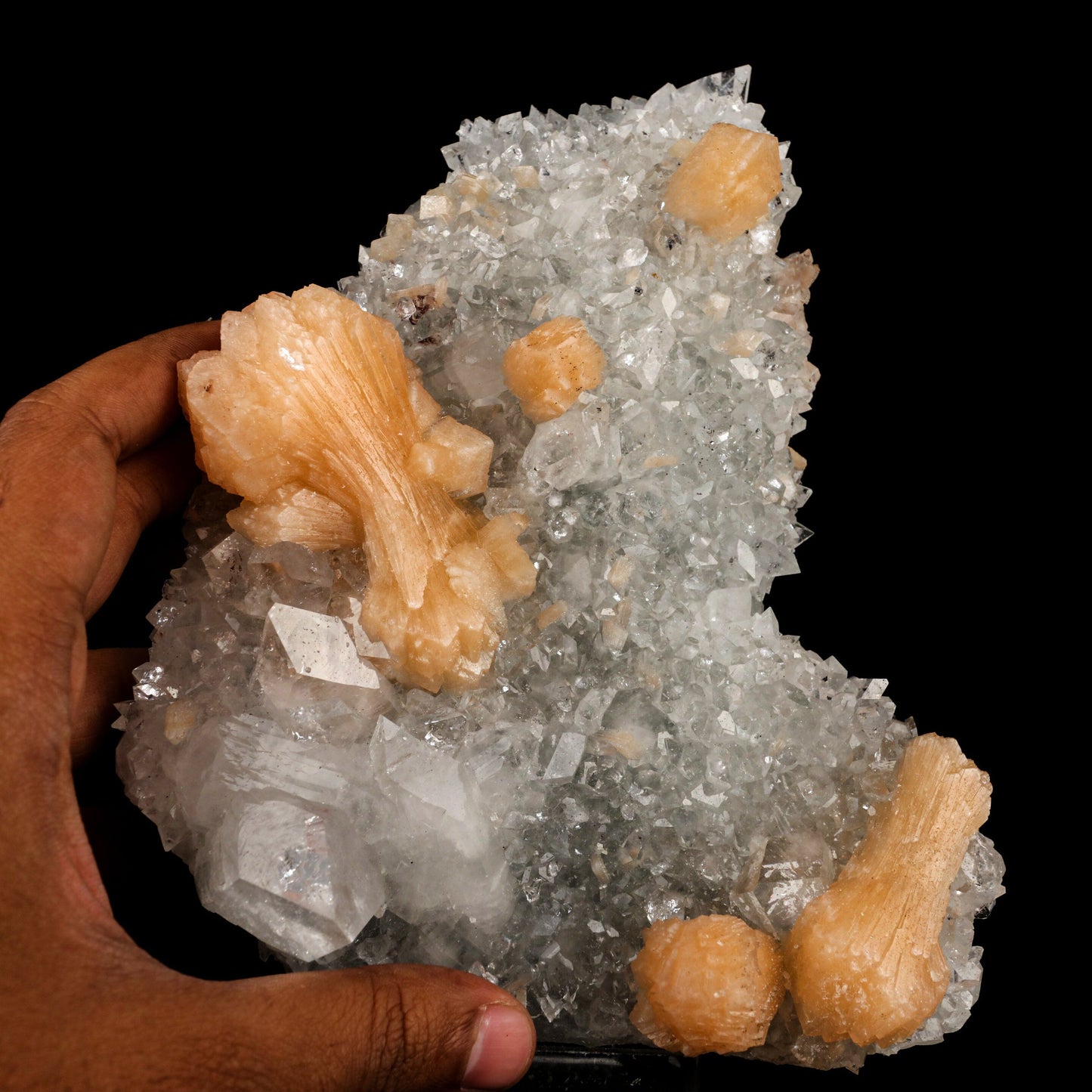 Apophyllite with Stilbite Dual Side Natural Mineral Specimen # B 6464 Apophyllite Superb Minerals