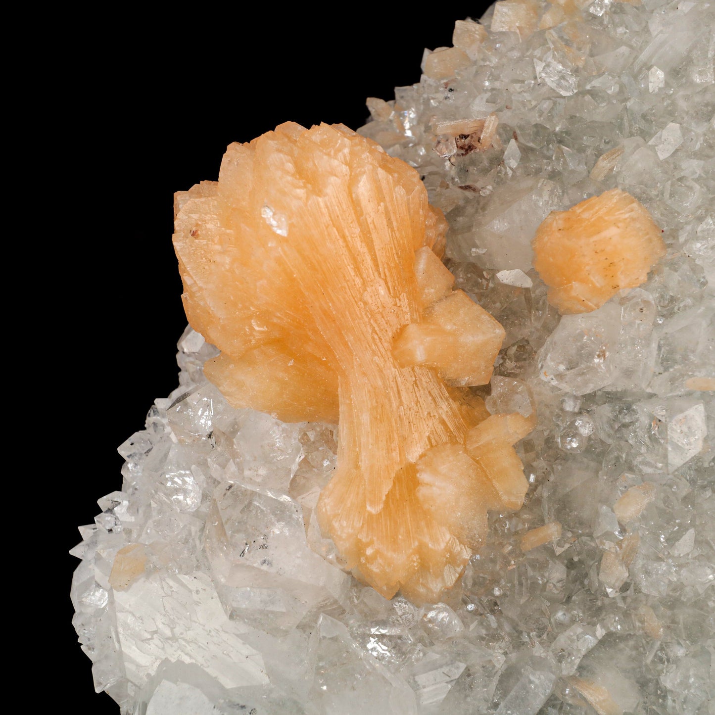 Apophyllite with Stilbite Dual Side Natural Mineral Specimen # B 6464 Apophyllite Superb Minerals