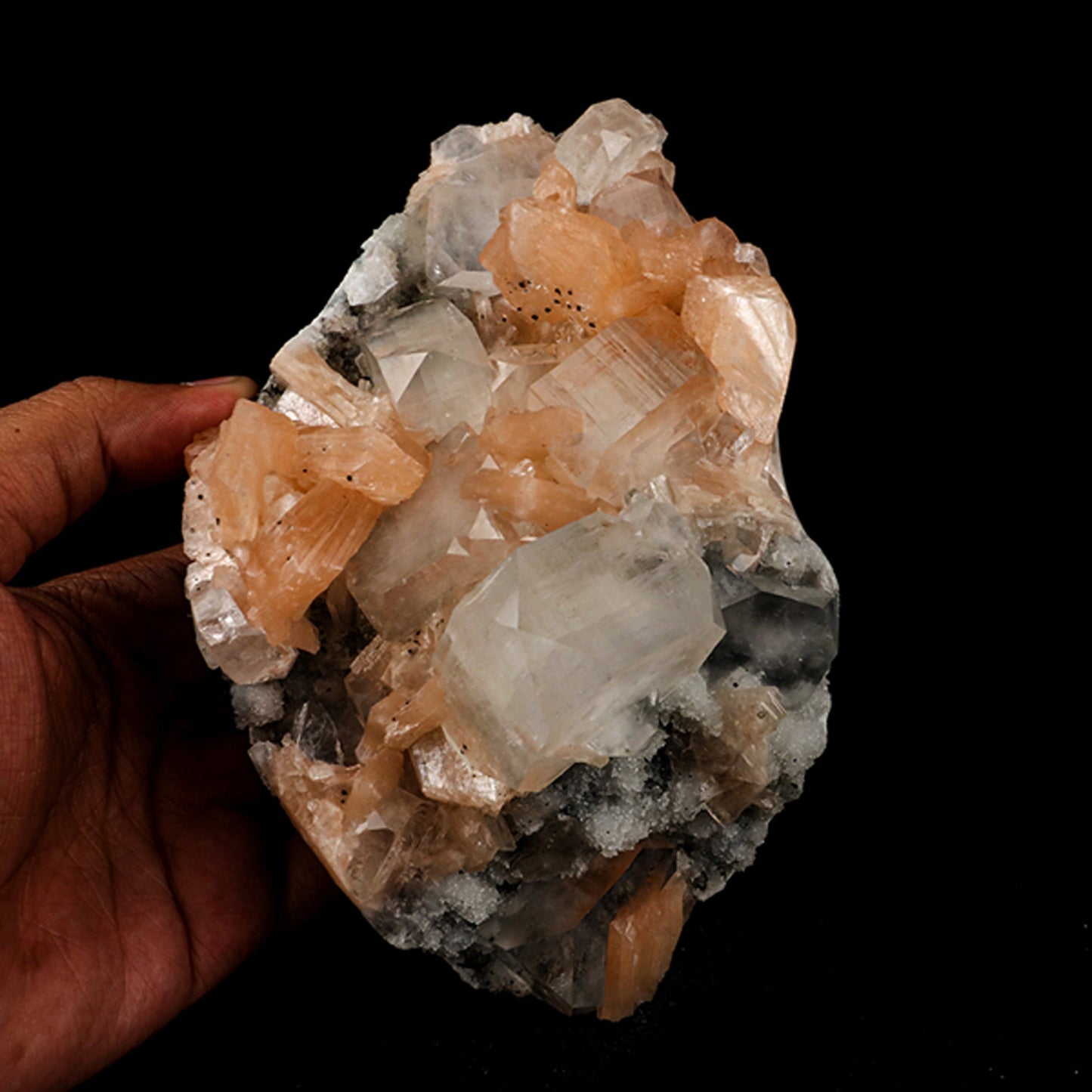 Apophyllite with Stilbite Natural Mineral Specimen # B 5527 Apophyllite Superb Minerals