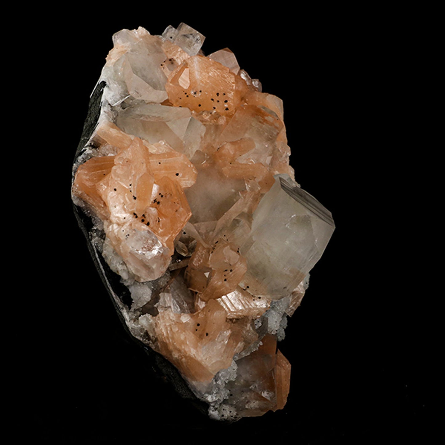 Apophyllite with Stilbite Natural Mineral Specimen # B 5527 Apophyllite Superb Minerals