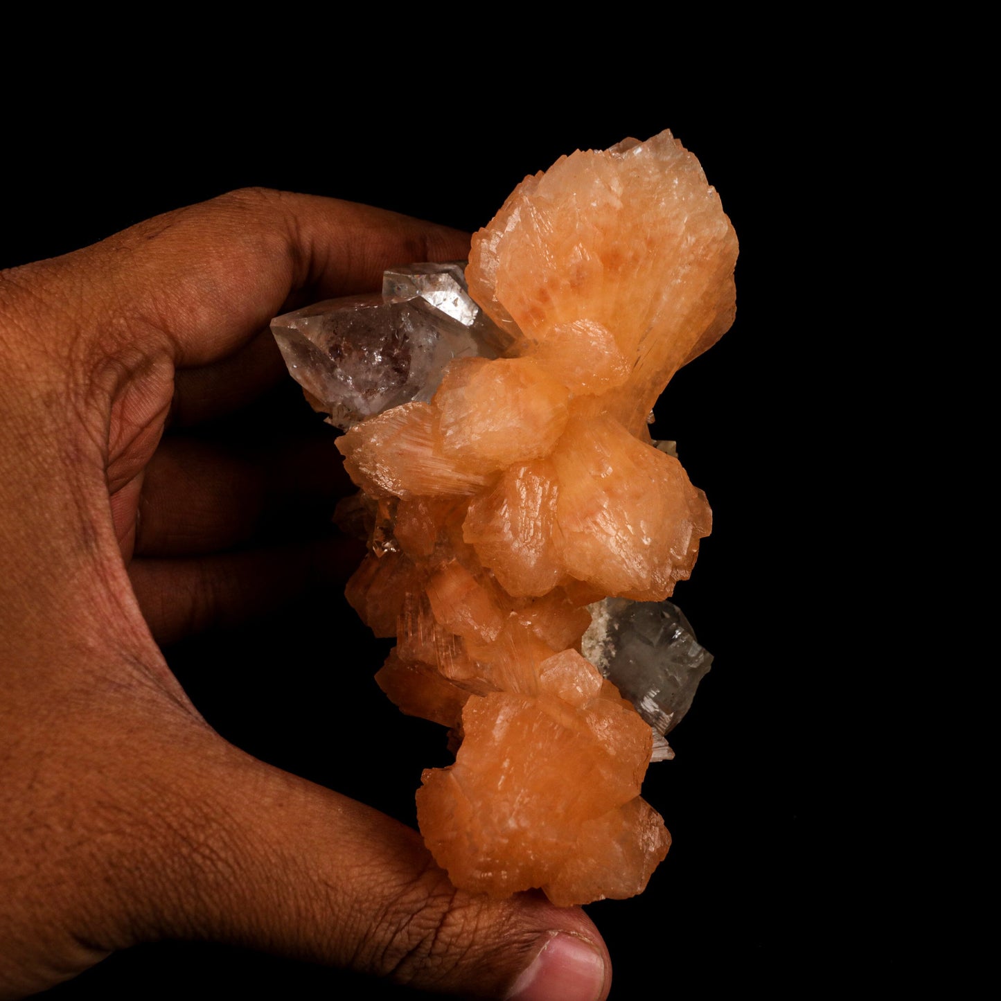 Apophyllite with Stilbite Natural Mineral Specimen # B 6457 Apophyllite Superb Minerals