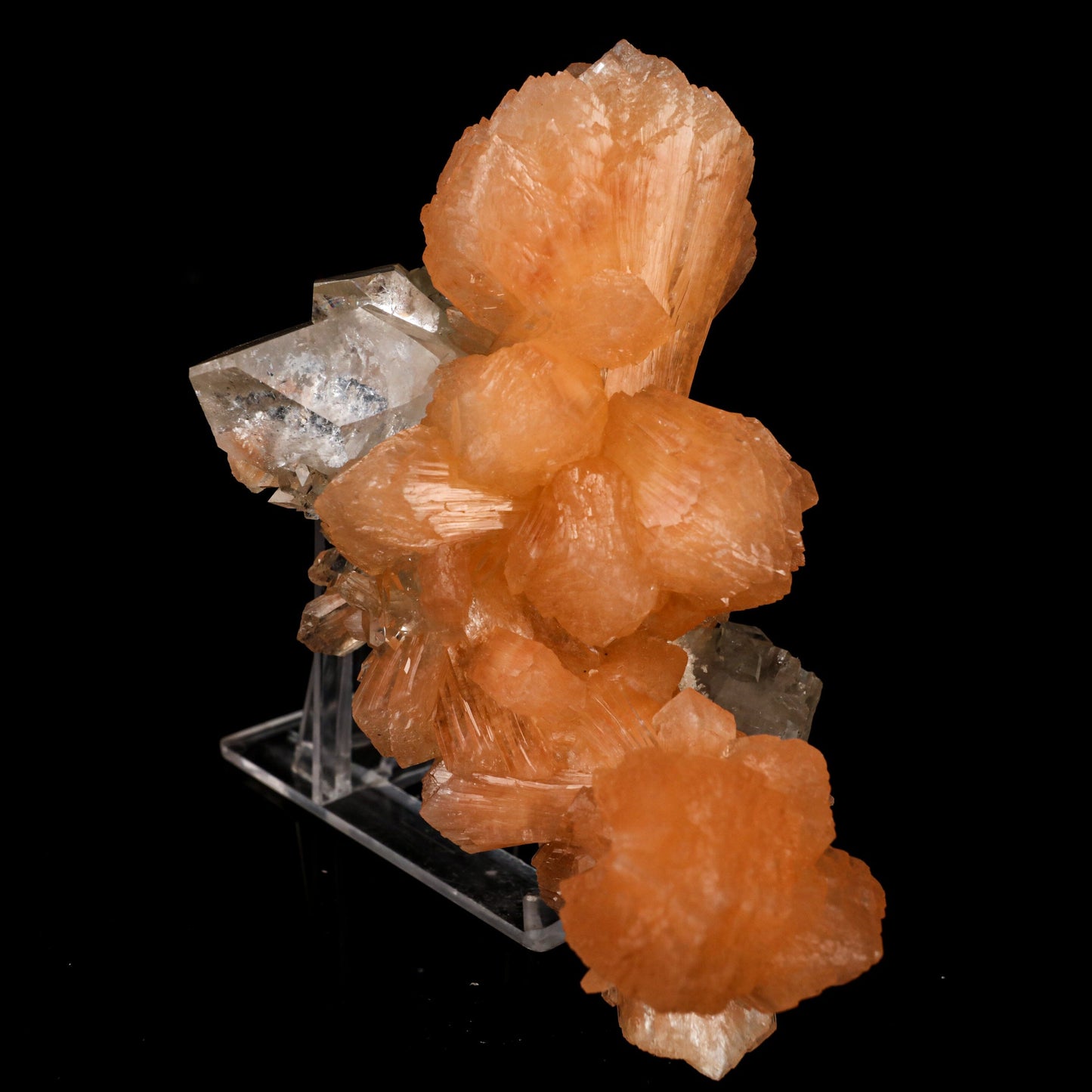 Apophyllite with Stilbite Natural Mineral Specimen # B 6457 Apophyllite Superb Minerals