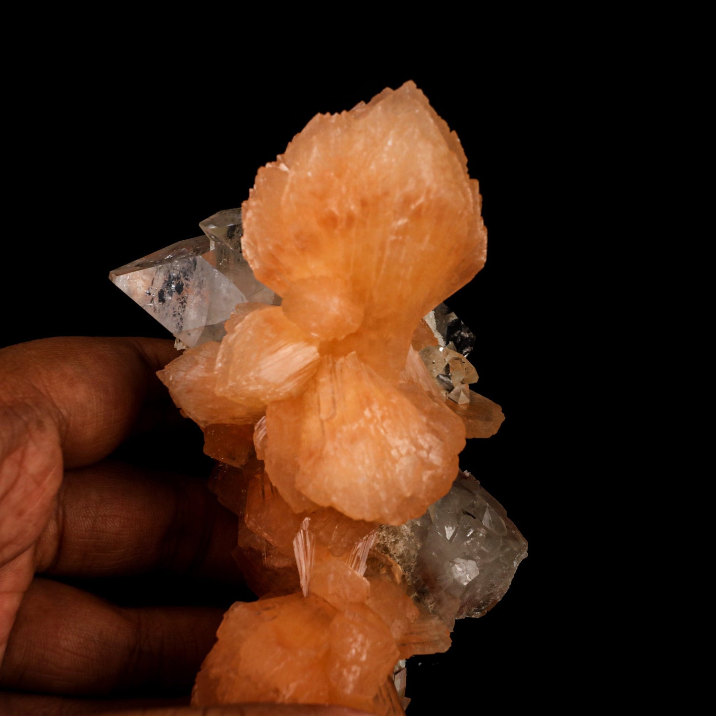 Apophyllite with Stilbite Natural Mineral Specimen # B 6457 Apophyllite Superb Minerals