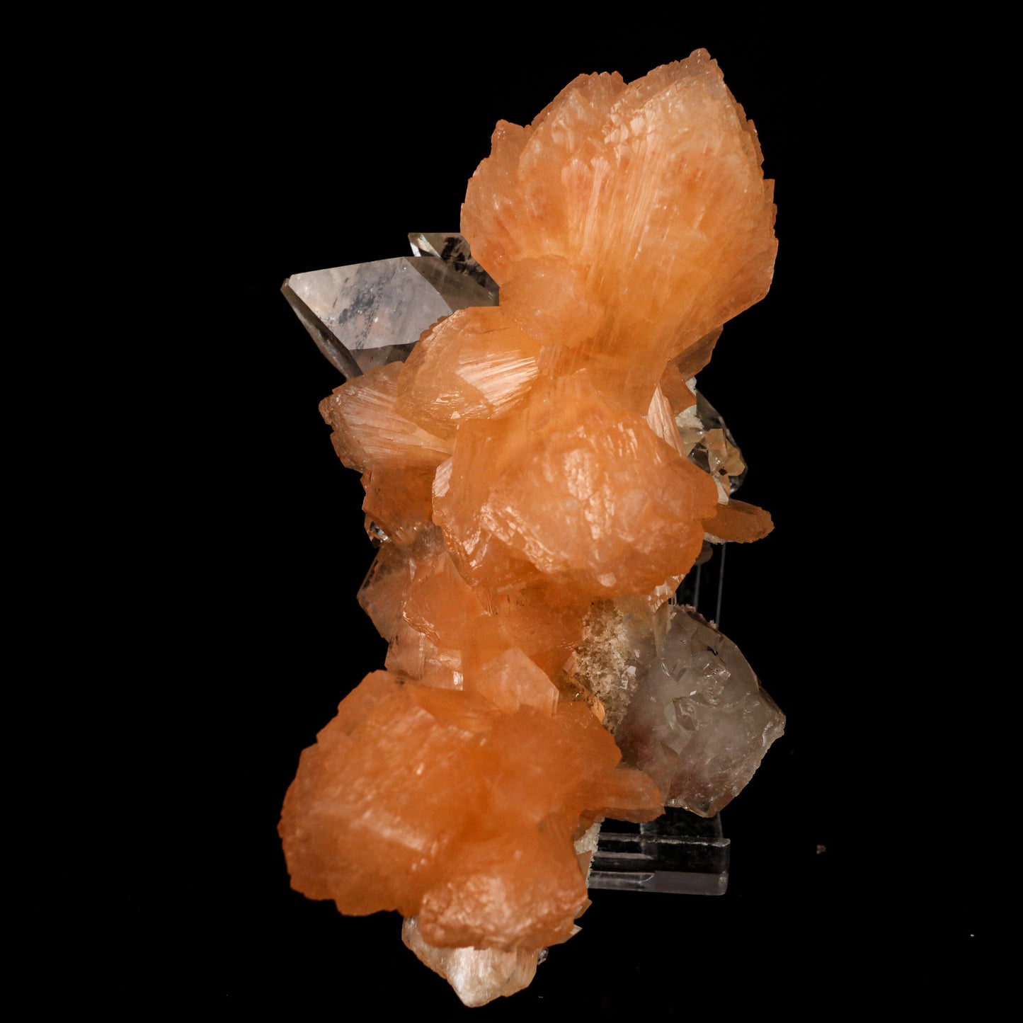 Apophyllite with Stilbite Natural Mineral Specimen # B 6457 Apophyllite Superb Minerals