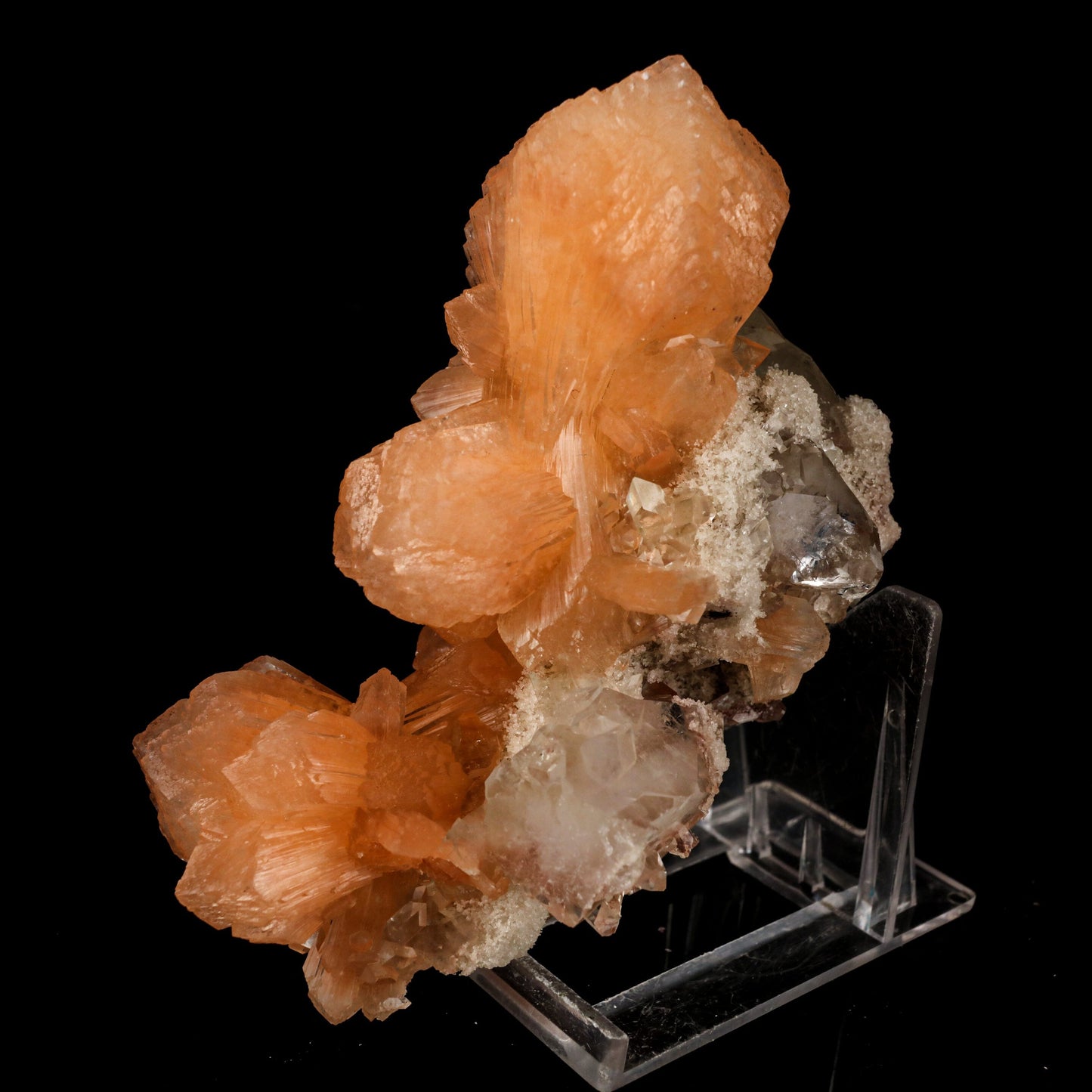 Apophyllite with Stilbite Natural Mineral Specimen # B 6457 Apophyllite Superb Minerals