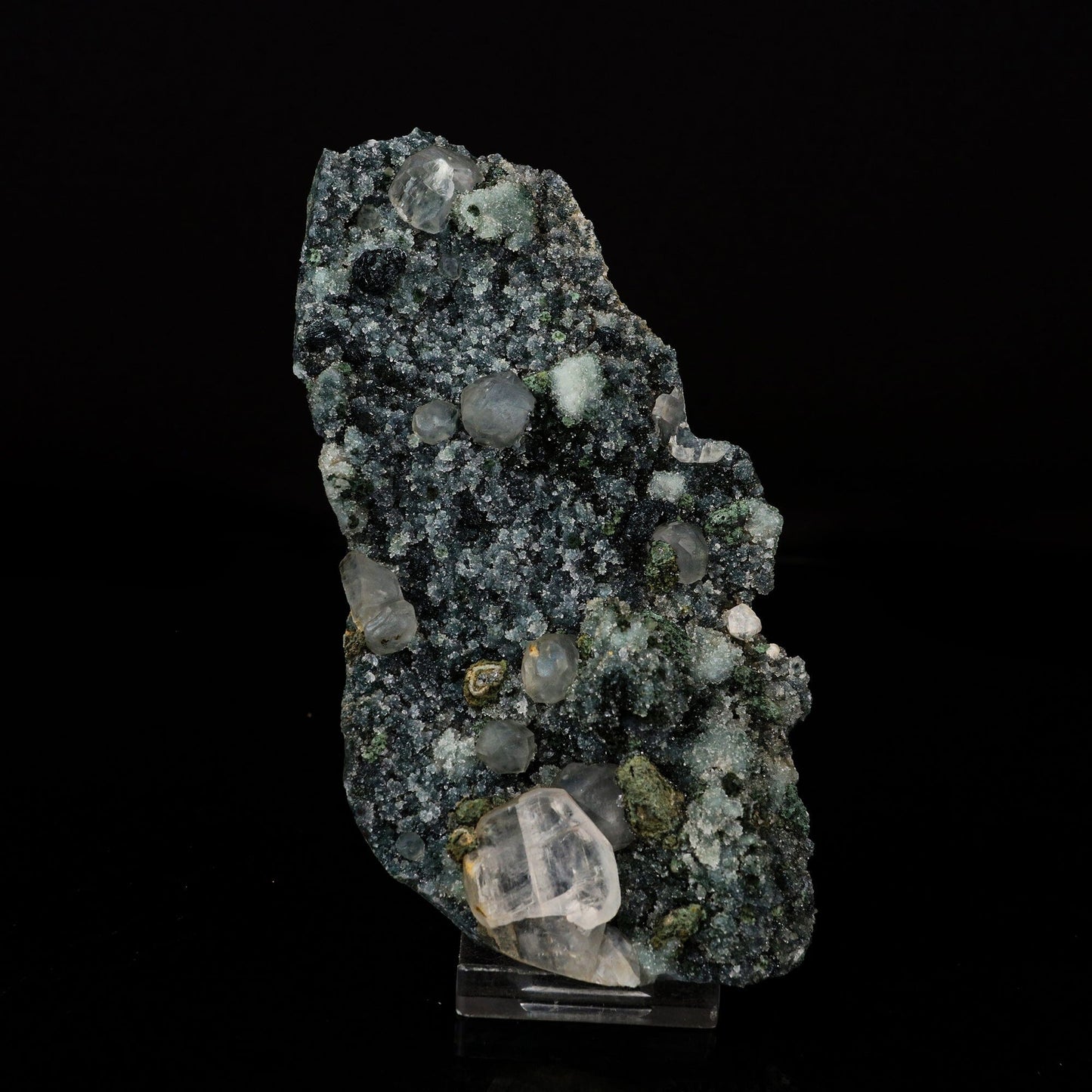 Babingtonite with Apophyllite & Chalcedony Natural Mineral Specimen # B 6704 Babingtonite Superb Minerals 