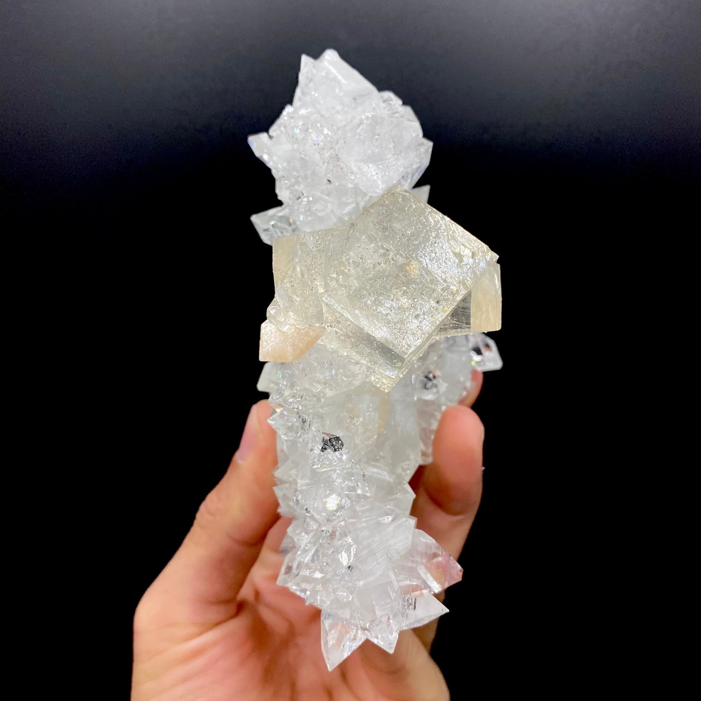 Calcite & Apophyllite DK101 Superb Minerals