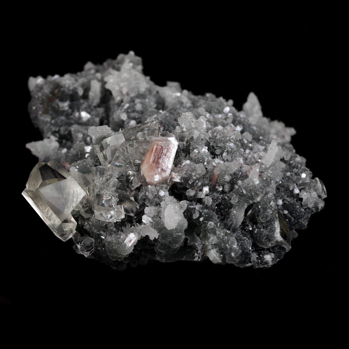 Calcite with Apophyllite Crystals on Black Chalcedony Natural Mineral Specimen # B 4455 Apophyllite Superb Minerals