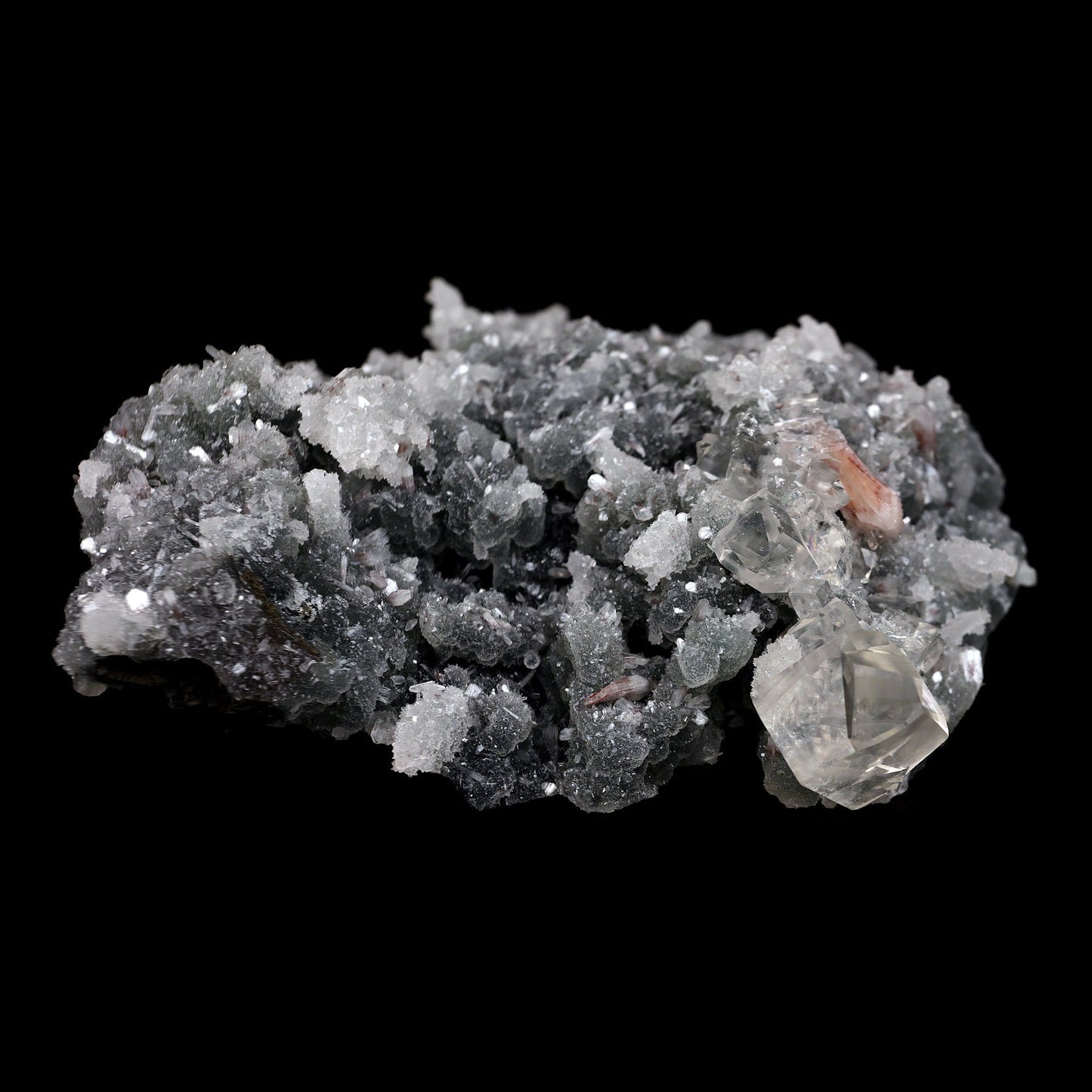 Calcite with Apophyllite Crystals on Black Chalcedony Natural Mineral Specimen # B 4455 Apophyllite Superb Minerals