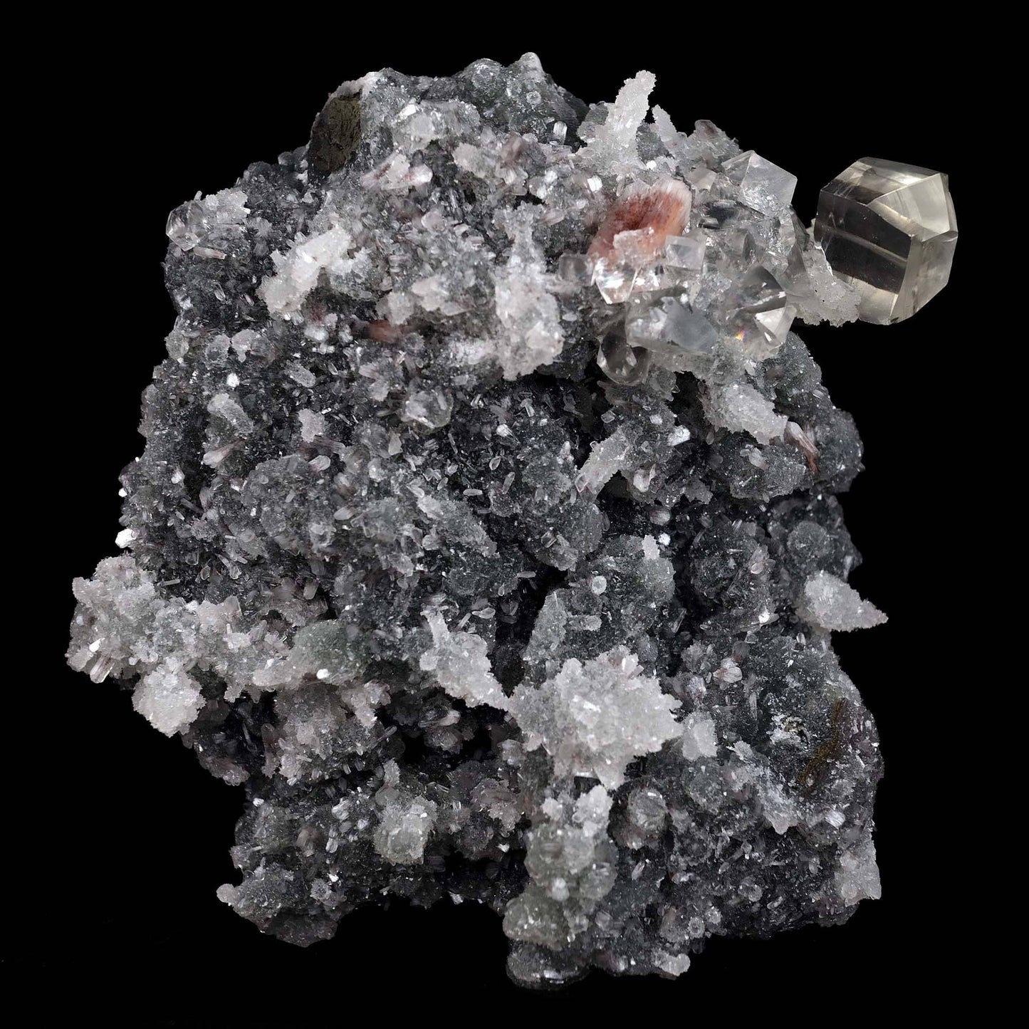 Calcite with Apophyllite Crystals on Black Chalcedony Natural Mineral Specimen # B 4455 Apophyllite Superb Minerals