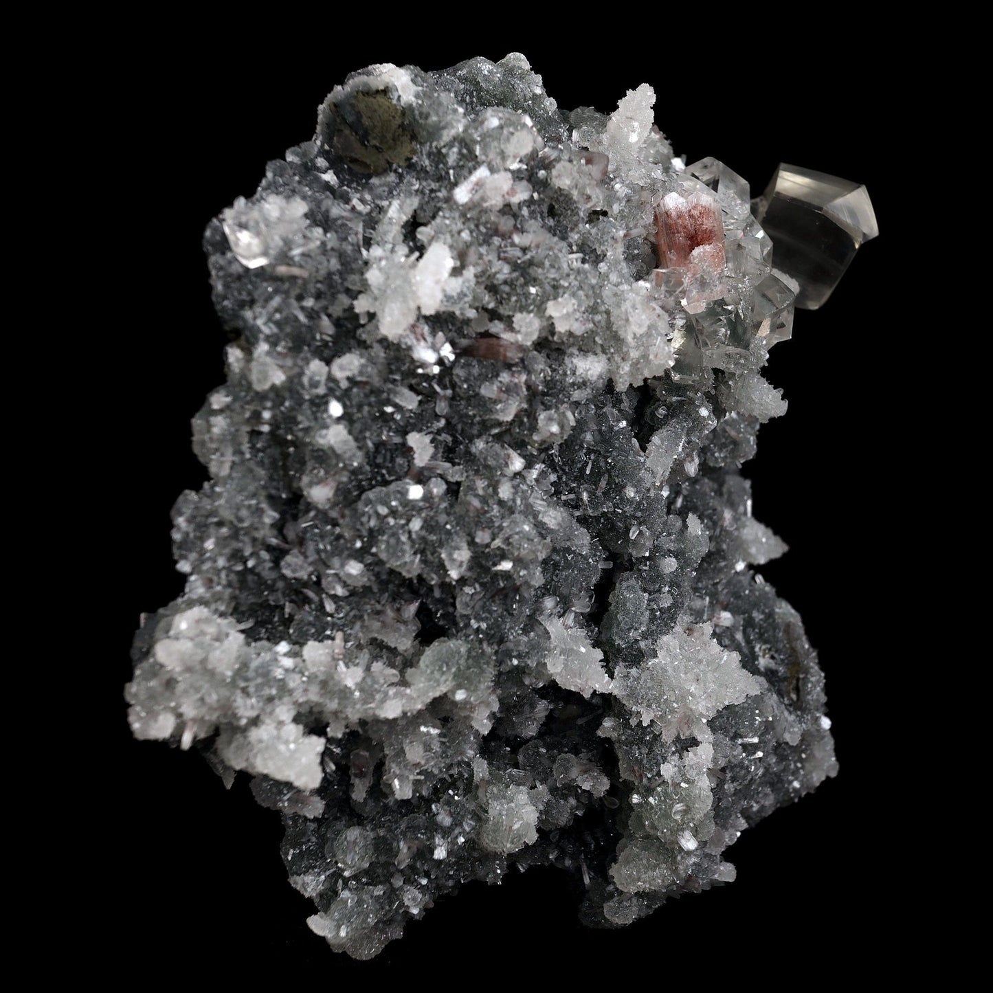 Calcite with Apophyllite Crystals on Black Chalcedony Natural Mineral Specimen # B 4455 Apophyllite Superb Minerals