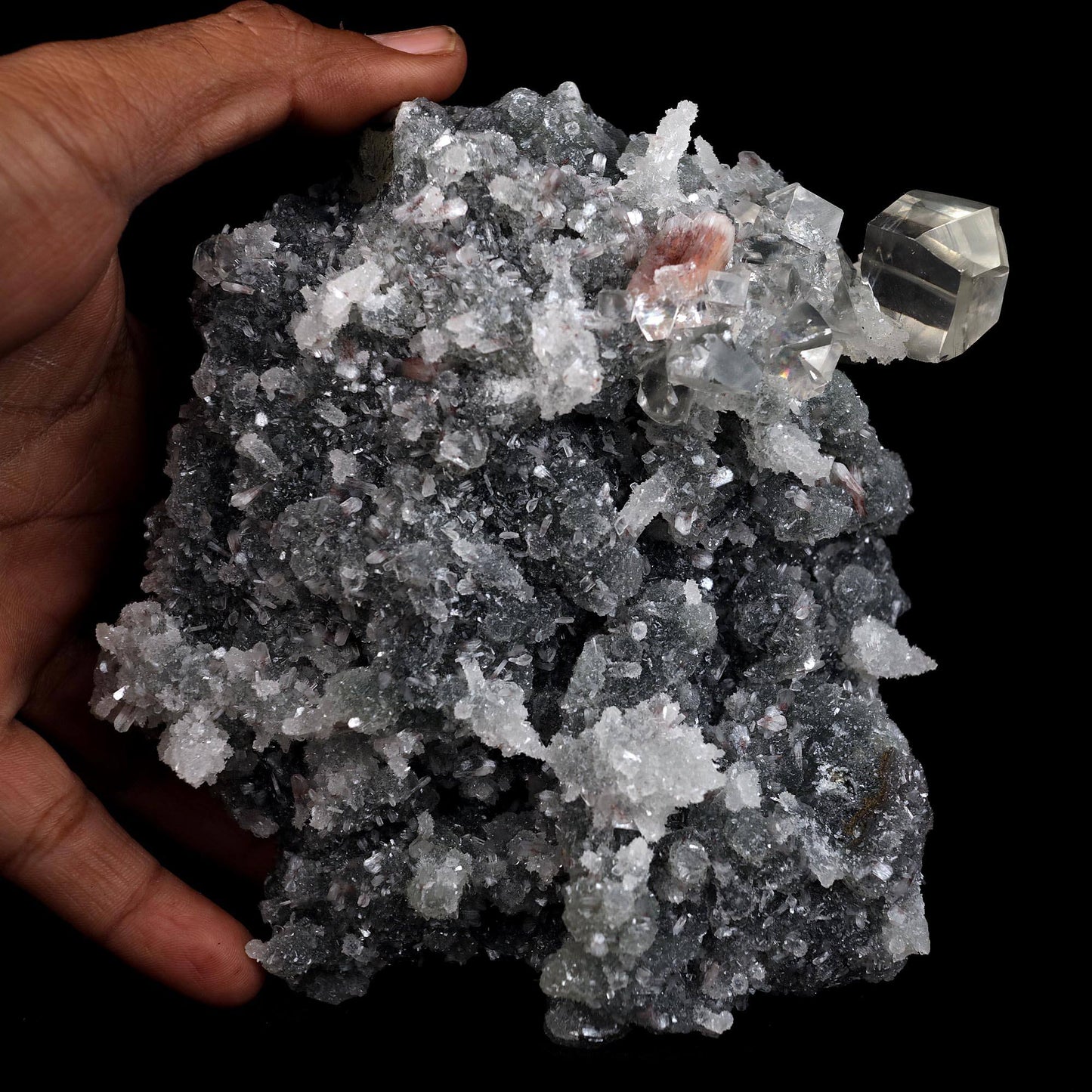 Calcite with Apophyllite Crystals on Black Chalcedony Natural Mineral Specimen # B 4455 Apophyllite Superb Minerals