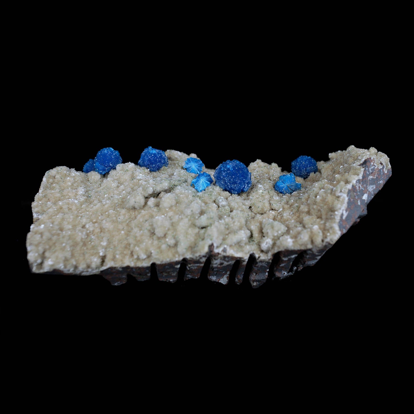 Cavansite Blue Puff Balls on Heuladnite Natural Mineral Specimen # B 4…  https://www.superbminerals.us/products/cavansite-blue-puff-balls-on-heuladnite-natural-mineral-specimen-b-4013  Features These are gorgeous, deep blue Cavansite crystal aggregations on a micro Stilbite crystal encrusted matrix, collected from the Wagholi Quarry in the Pune district of India. Cavansite tends to form deep blue crystal aggregates, generally in the form of balls, up to a couple centimeters in size. 