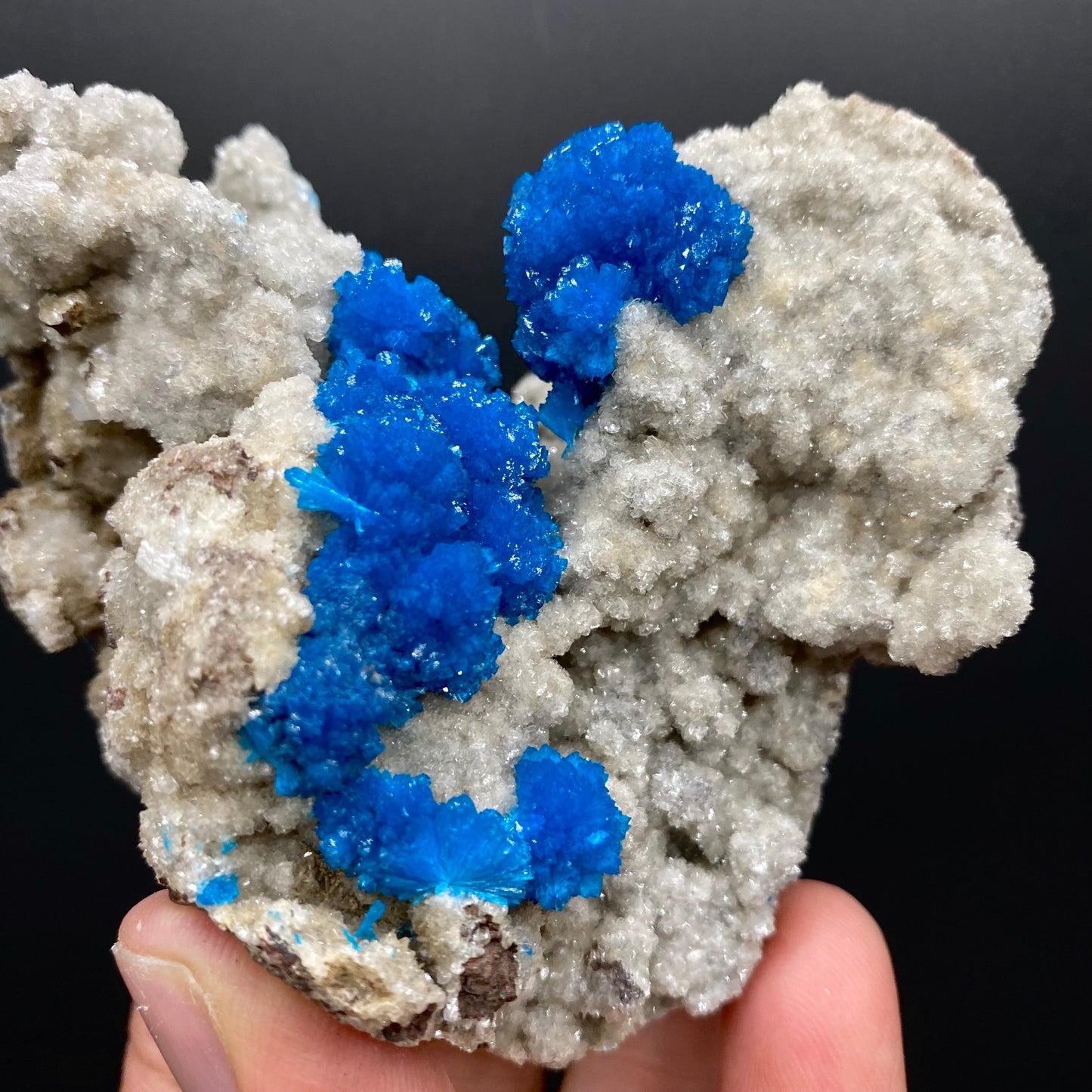 Cavansite Deep Blue Heulandite Matrix Natural Mineral Specimen # DK187 Heulandite Superb Minerals