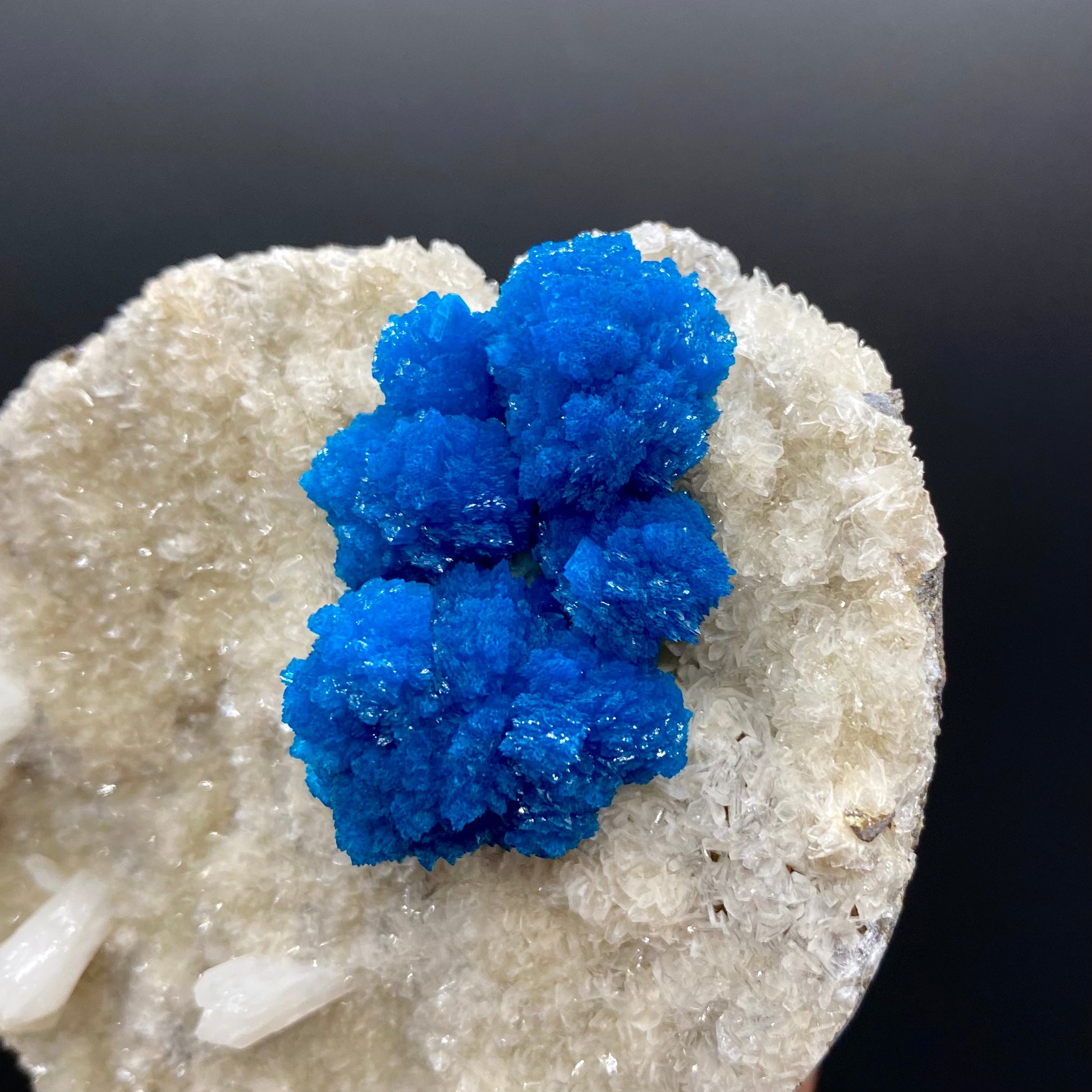 Cavansite DK171 Cavansite Superb Minerals