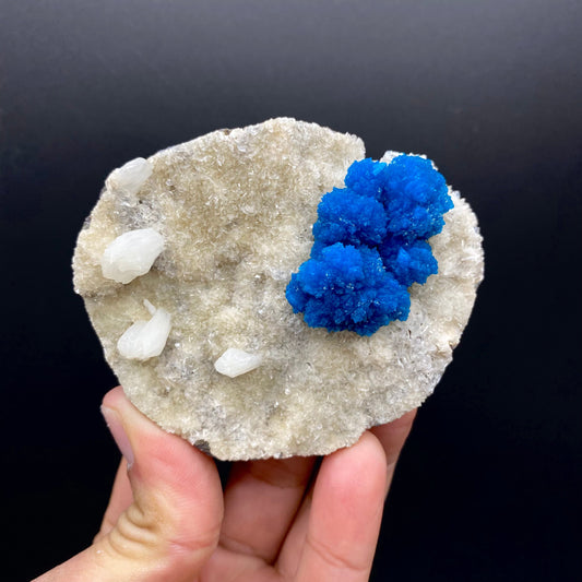 Cavansite DK171 Cavansite Superb Minerals