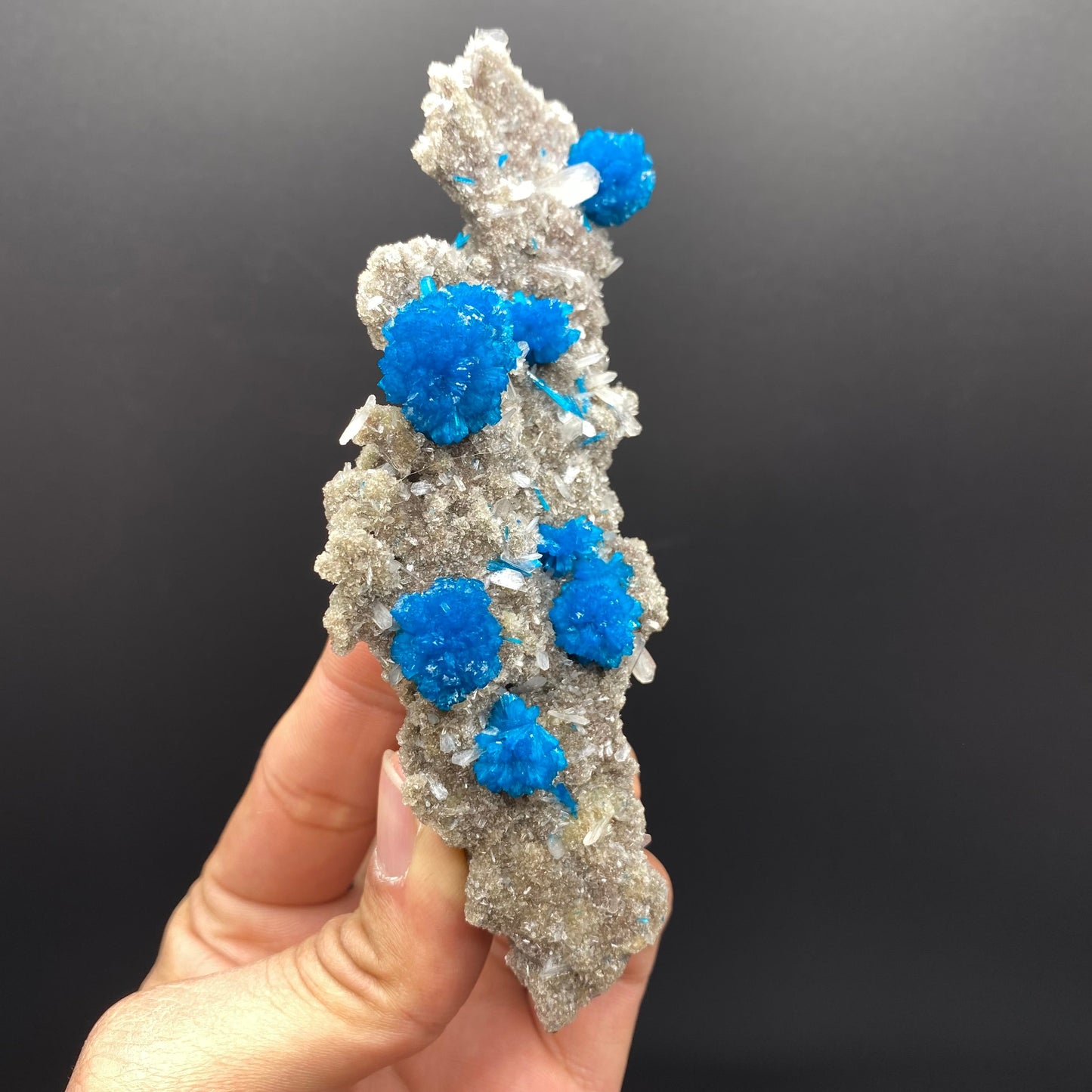 Cavansite DK90 Superb Minerals