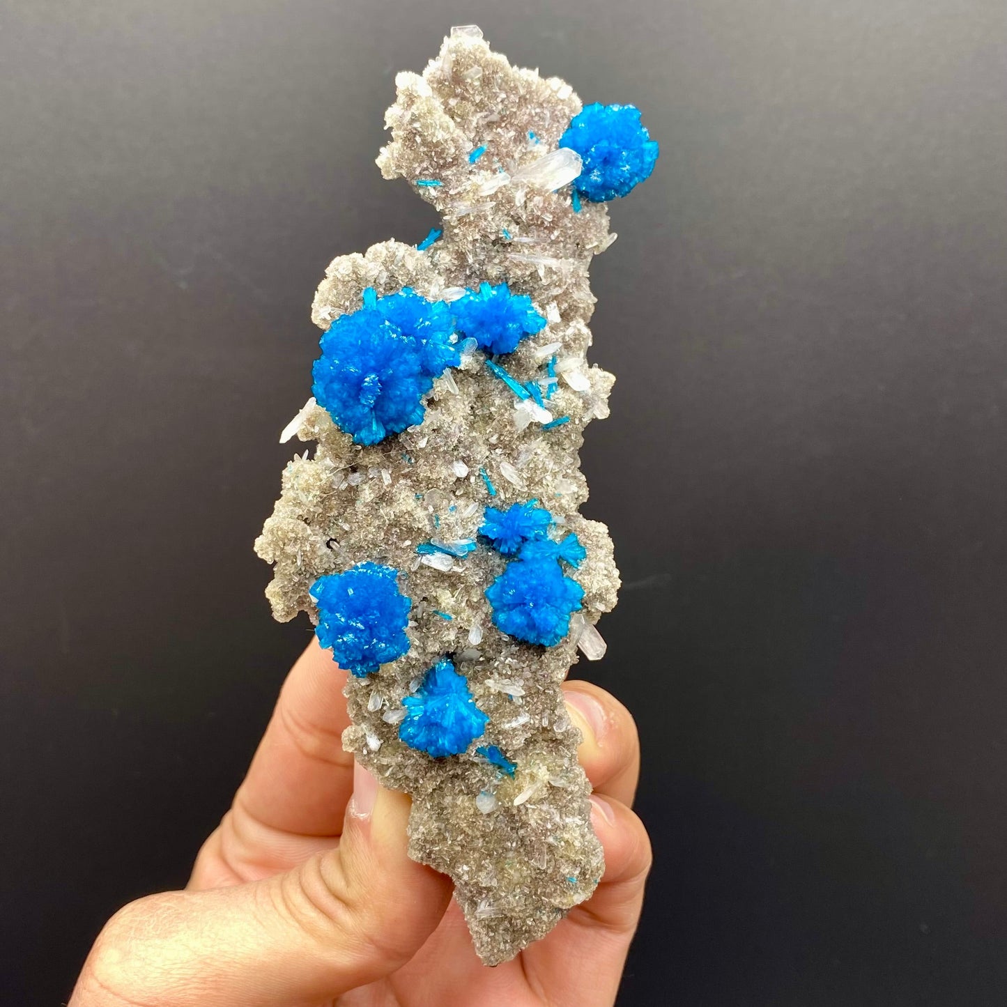 Cavansite DK90 Superb Minerals
