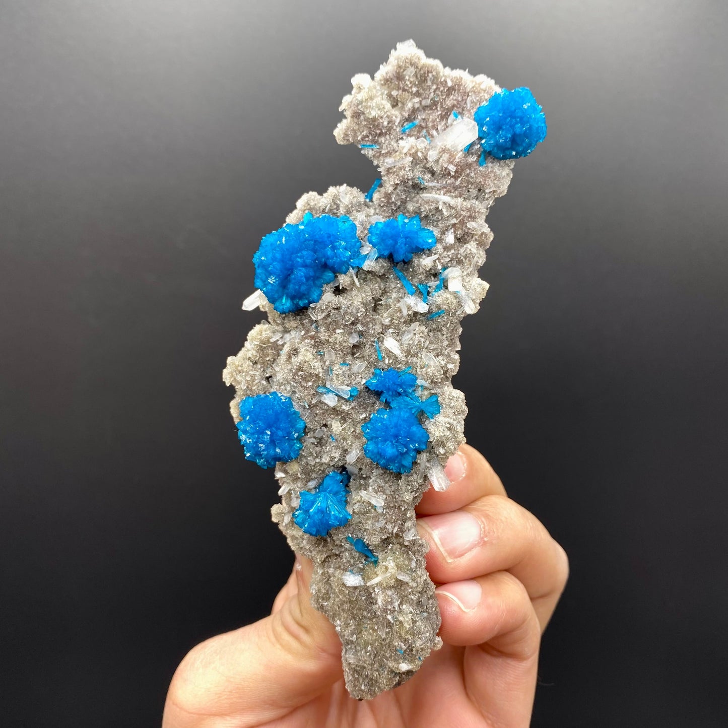 Cavansite DK90 Superb Minerals