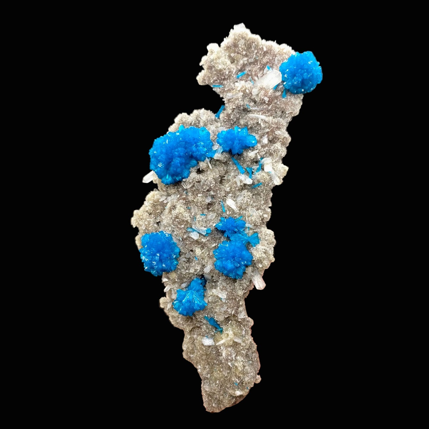 Cavansite DK90 Superb Minerals