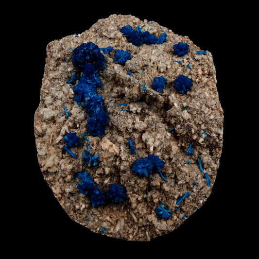 Cavansite on Heulandite Natural Mineral Specimen # B 5317  https://www.superbminerals.us/products/cavansite-on-heulandite-natural-mineral-specimen-b-5317  Features: Crystals of deep blue cavansite on white heulandite. Perfectly crafted from the legendary, closed Wagholi Mines in  Poona, Maharashtra. Primary Mineral(s): Cavansite Secondary Mineral(s): N/AMatrix: Heulandite 7.5 Inch x 5.5 InchWeight : 1452 GmsLocality: Pune, Maharashtra