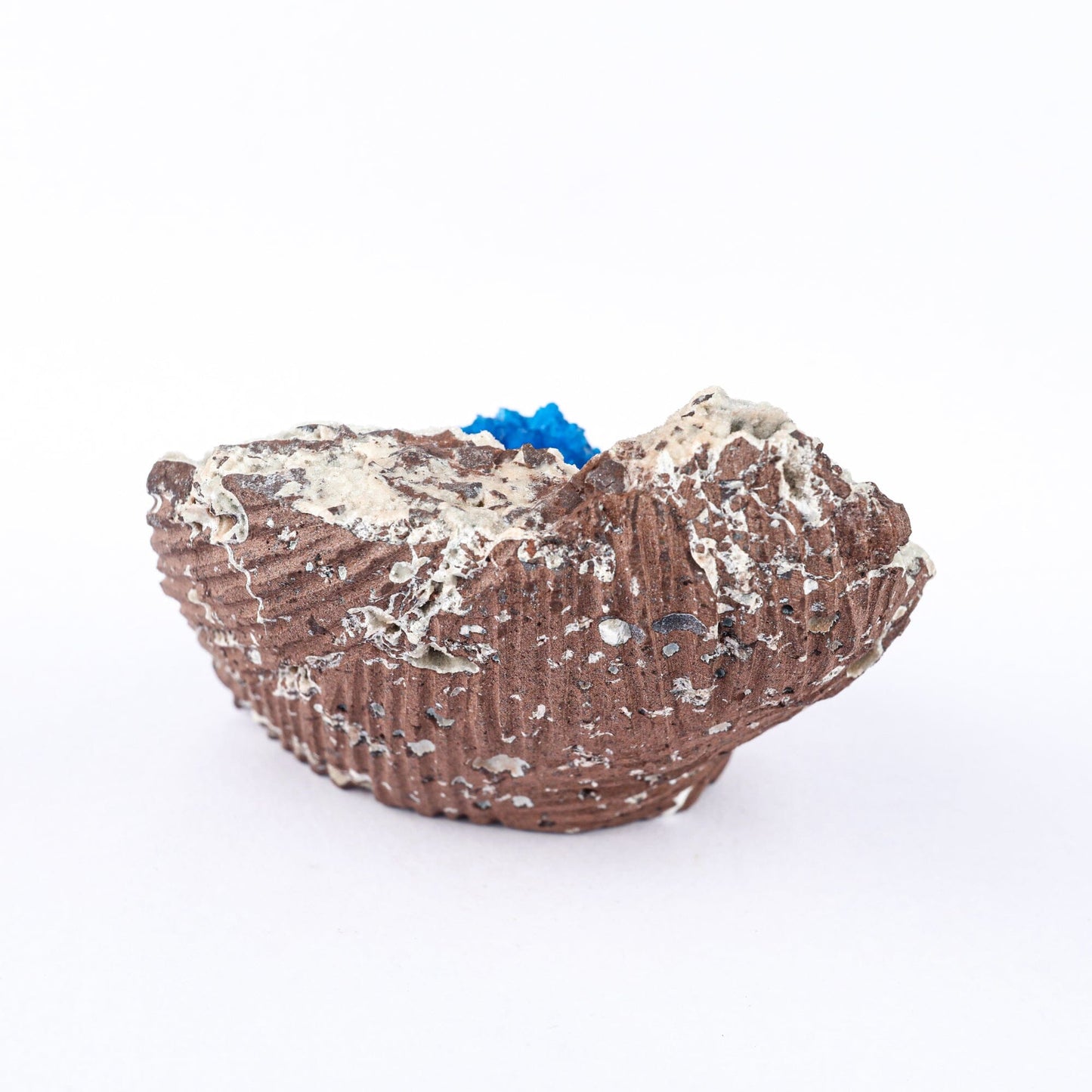Cavansite on Heulandite (Rare Find) Natural Mineral Specimen # B 6479 Cavansite Superb Minerals