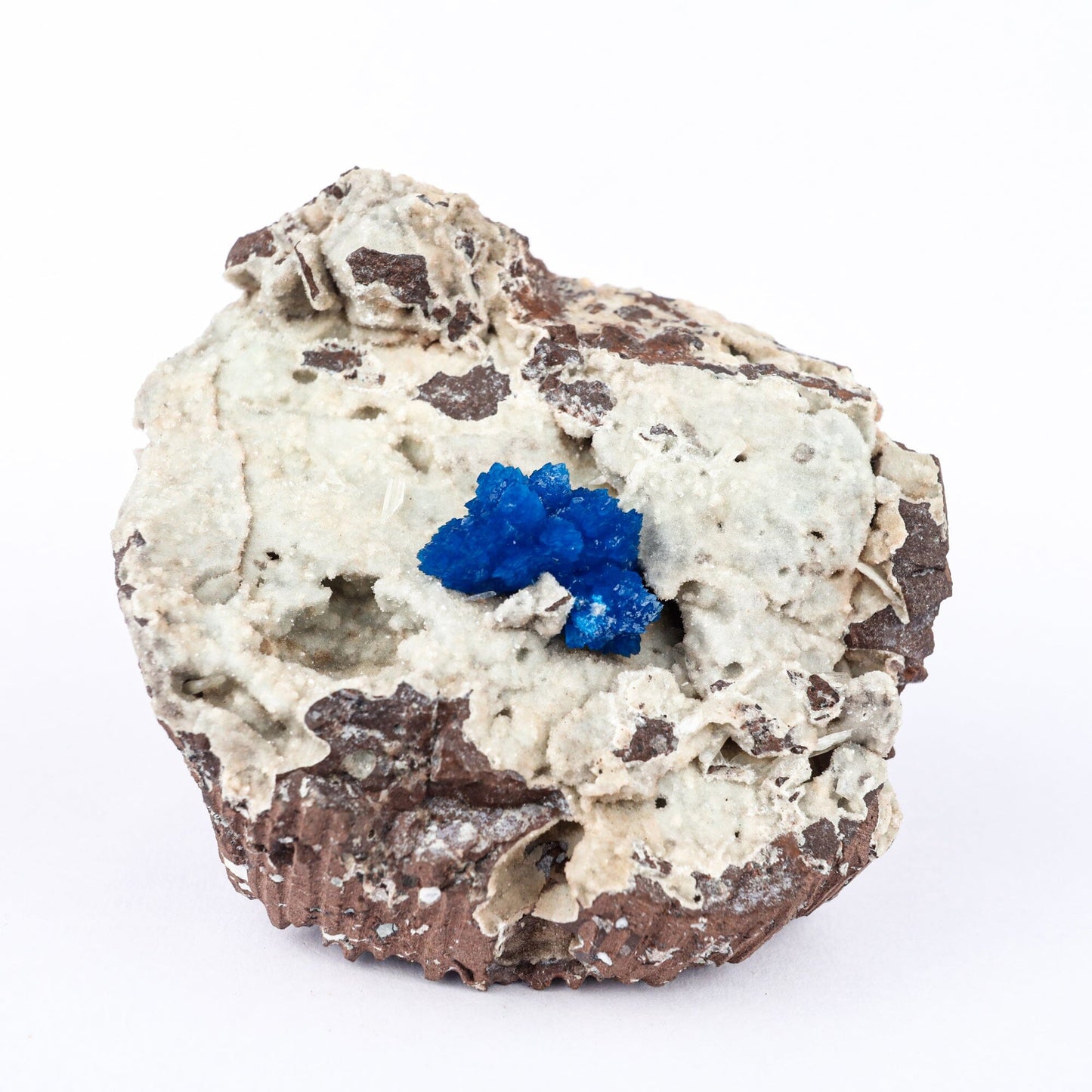 Cavansite on Heulandite (Rare Find) Natural Mineral Specimen # B 6479 Cavansite Superb Minerals