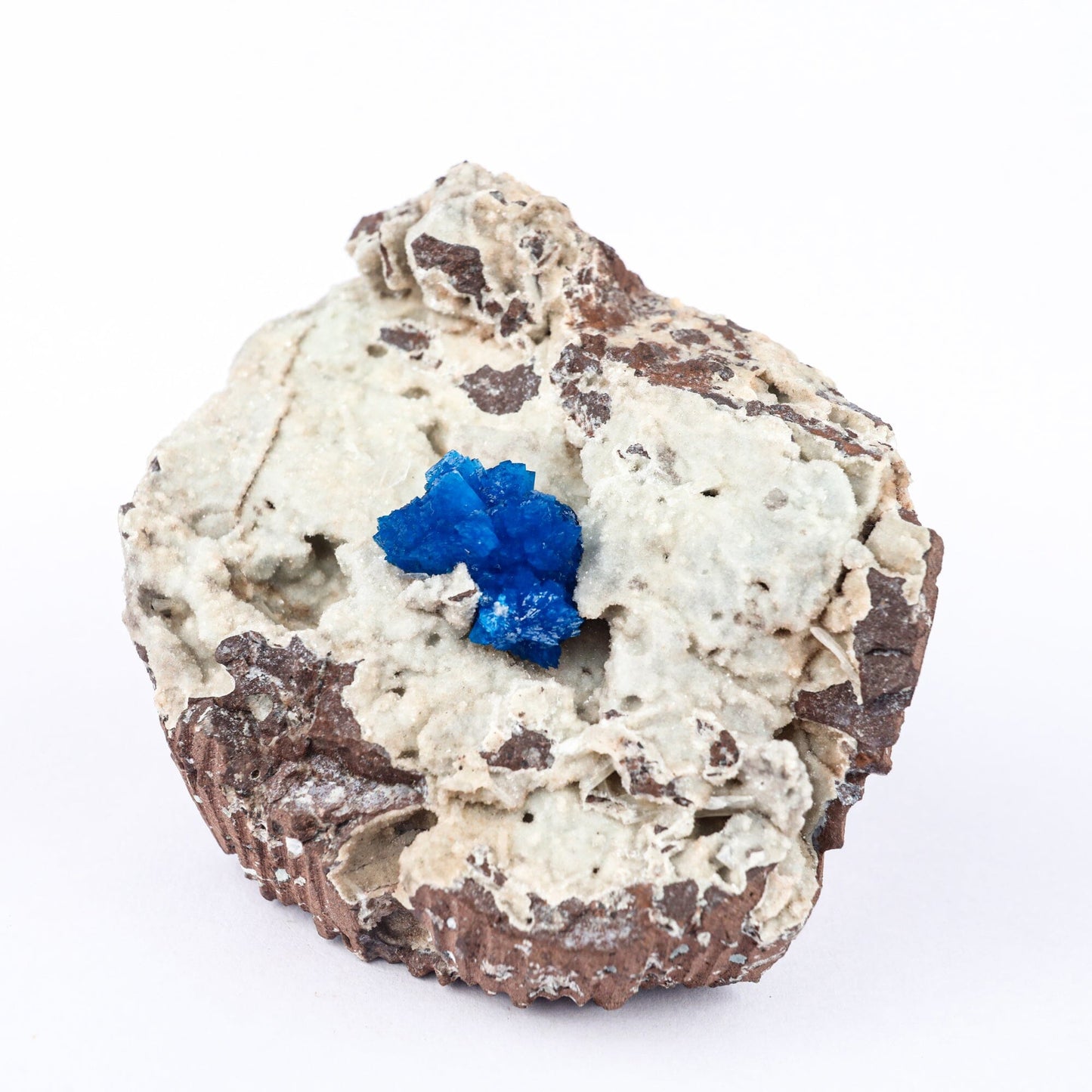 Cavansite on Heulandite (Rare Find) Natural Mineral Specimen # B 6479 Cavansite Superb Minerals