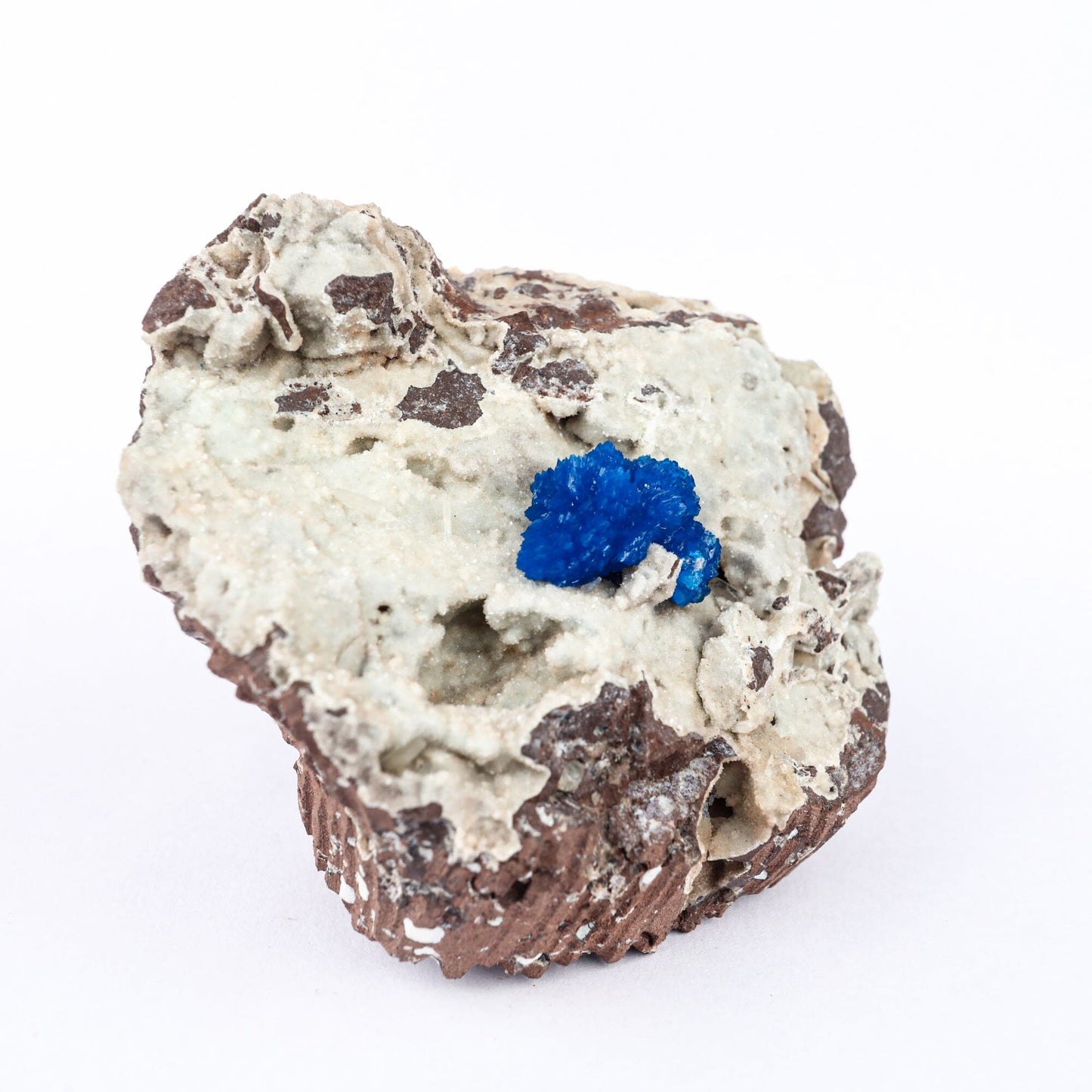 Cavansite on Heulandite (Rare Find) Natural Mineral Specimen # B 6479 Cavansite Superb Minerals